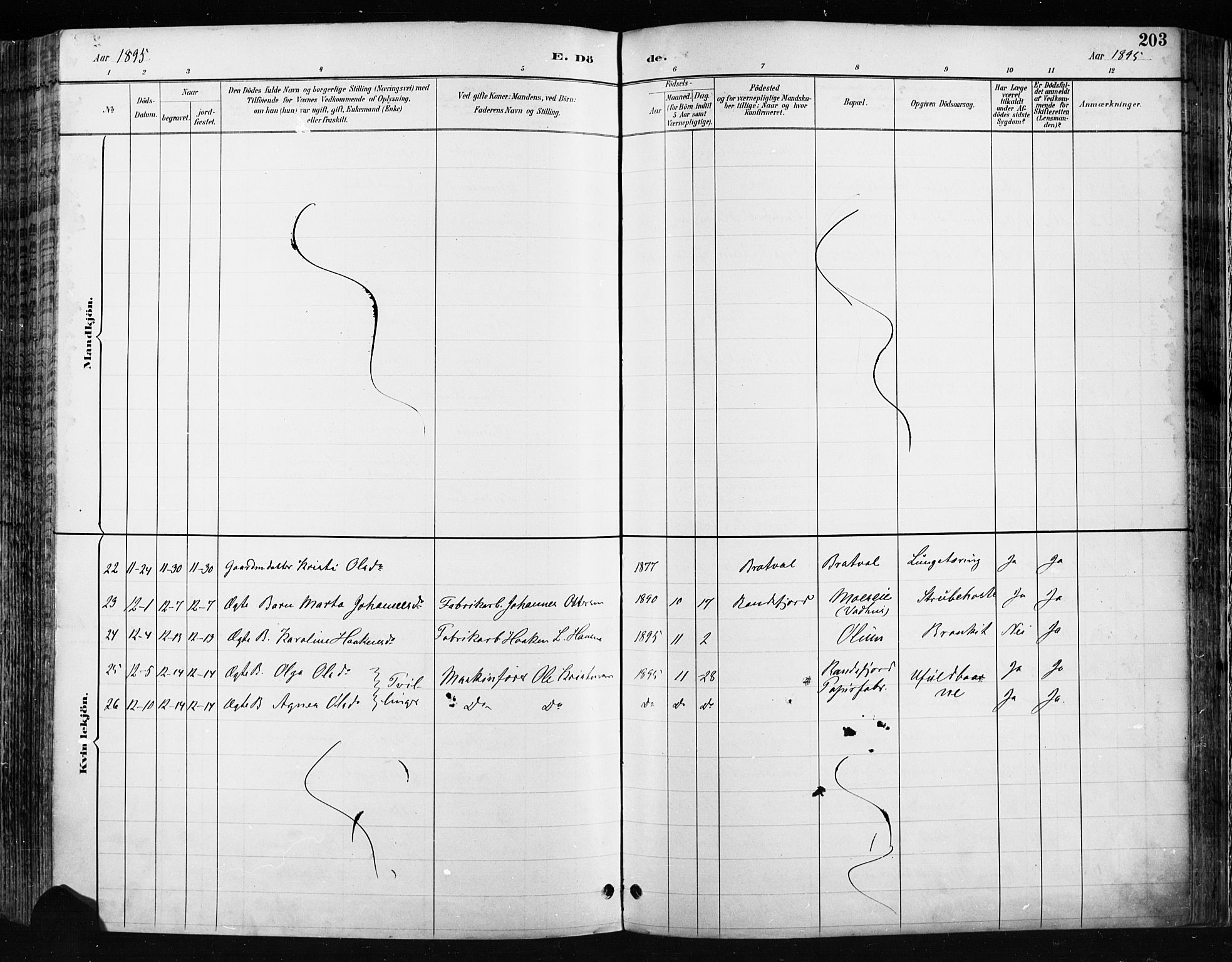 Jevnaker prestekontor, SAH/PREST-116/H/Ha/Haa/L0009: Parish register (official) no. 9, 1891-1901, p. 203