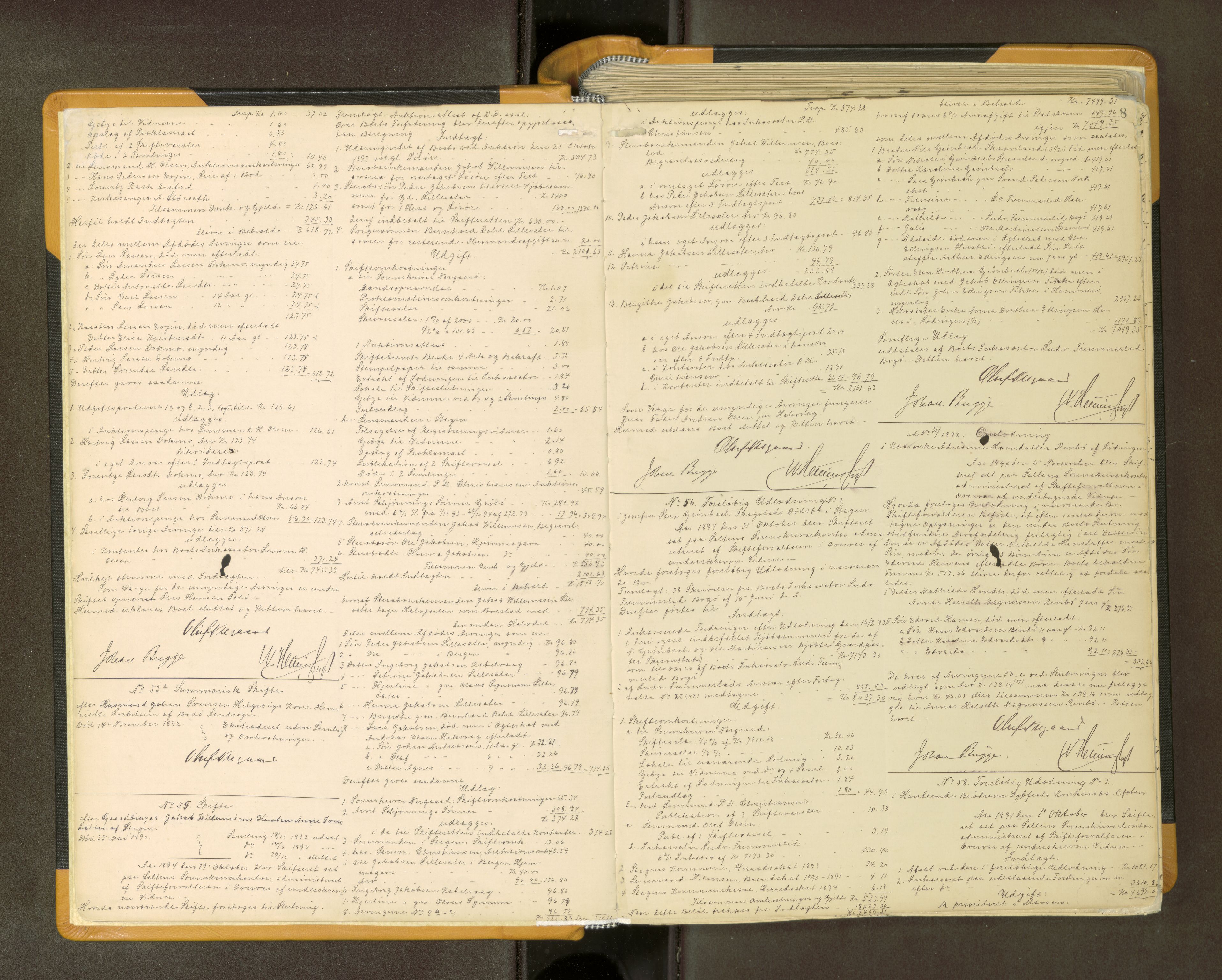 Salten sorenskriveri, AV/SAT-A-4578/1/3/3A/L0064: Skifteslutningsprotokoll, 1894-1912, p. 8