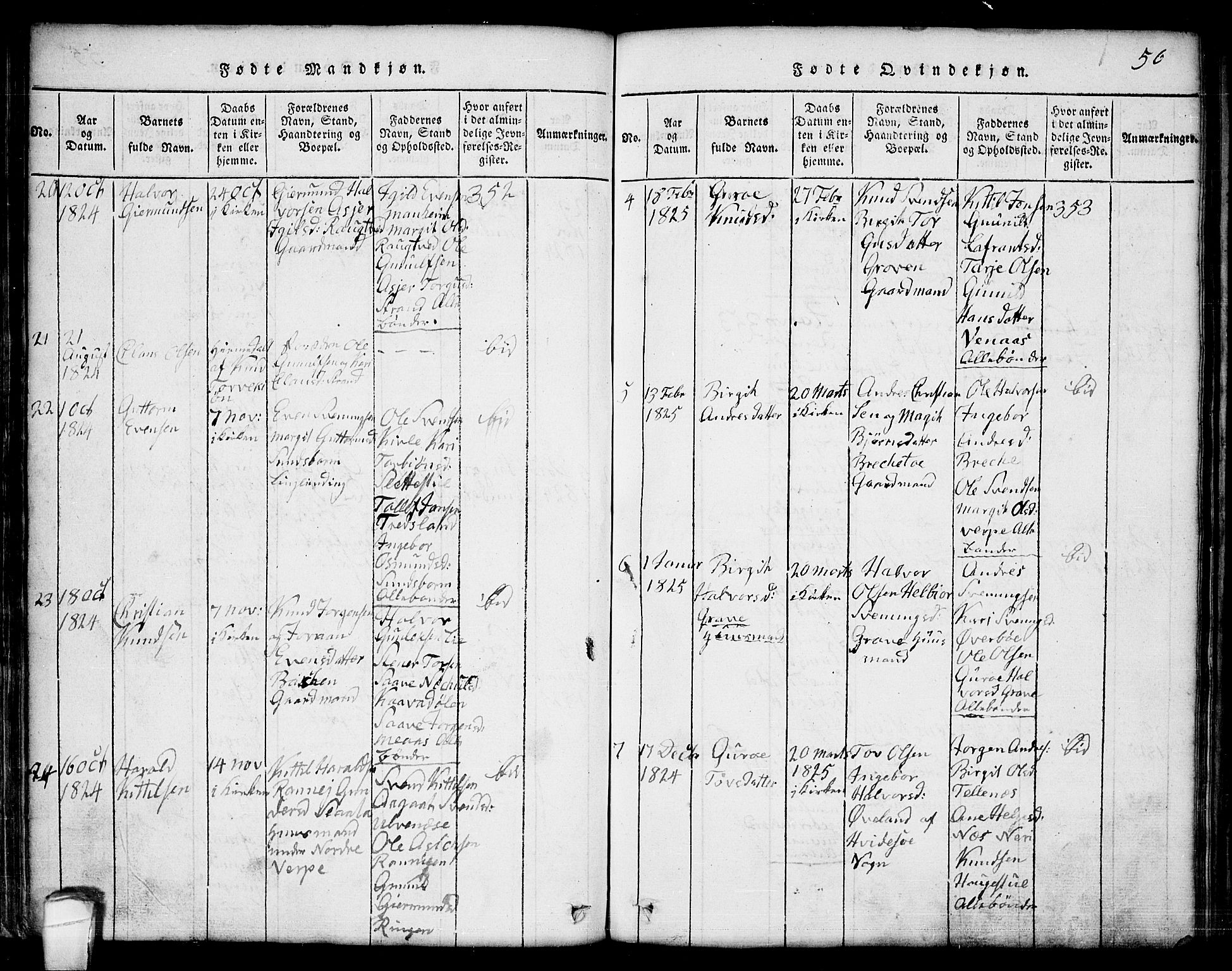 Seljord kirkebøker, AV/SAKO-A-20/G/Ga/L0001: Parish register (copy) no. I 1, 1815-1854, p. 56