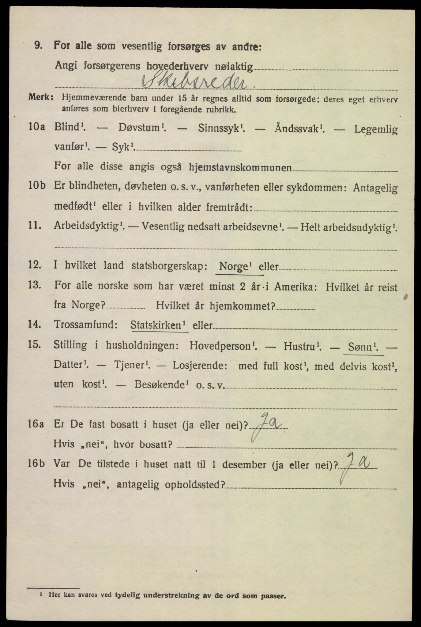 SAK, 1920 census for Lyngdal, 1920, p. 2994