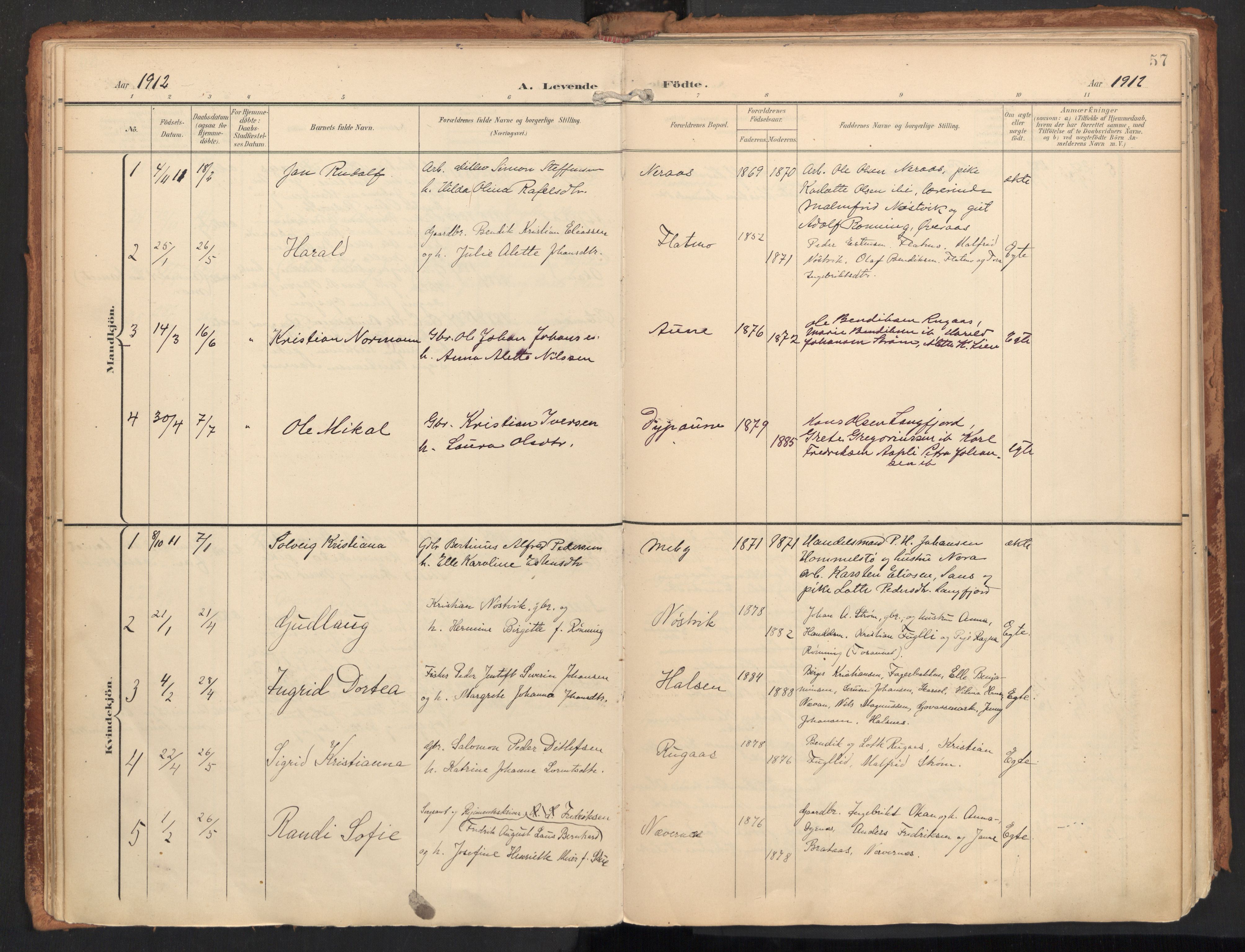 Ministerialprotokoller, klokkerbøker og fødselsregistre - Nordland, AV/SAT-A-1459/814/L0227: Parish register (official) no. 814A08, 1899-1920, p. 57