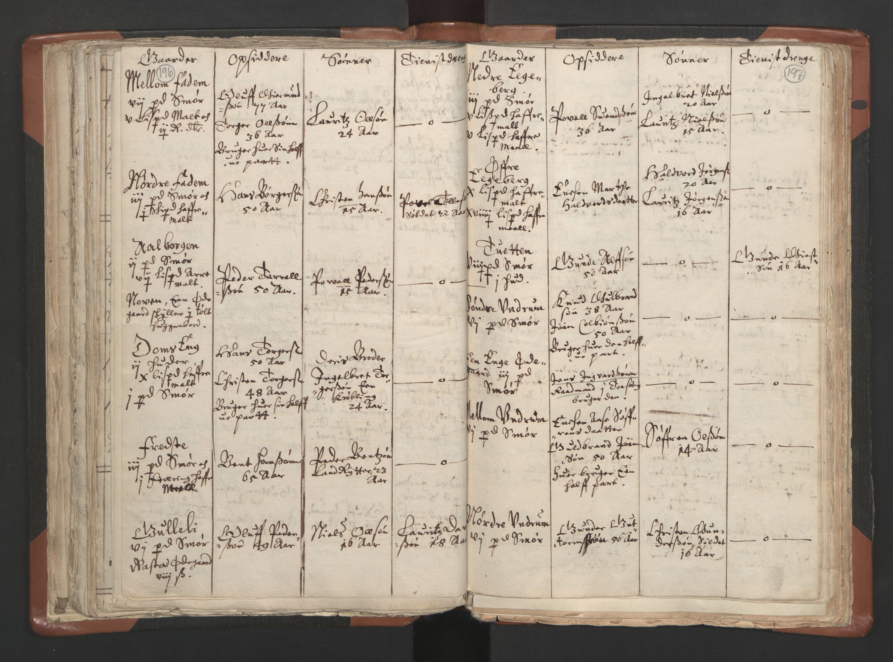 RA, Vicar's Census 1664-1666, no. 10: Tønsberg deanery, 1664-1666, p. 196-197