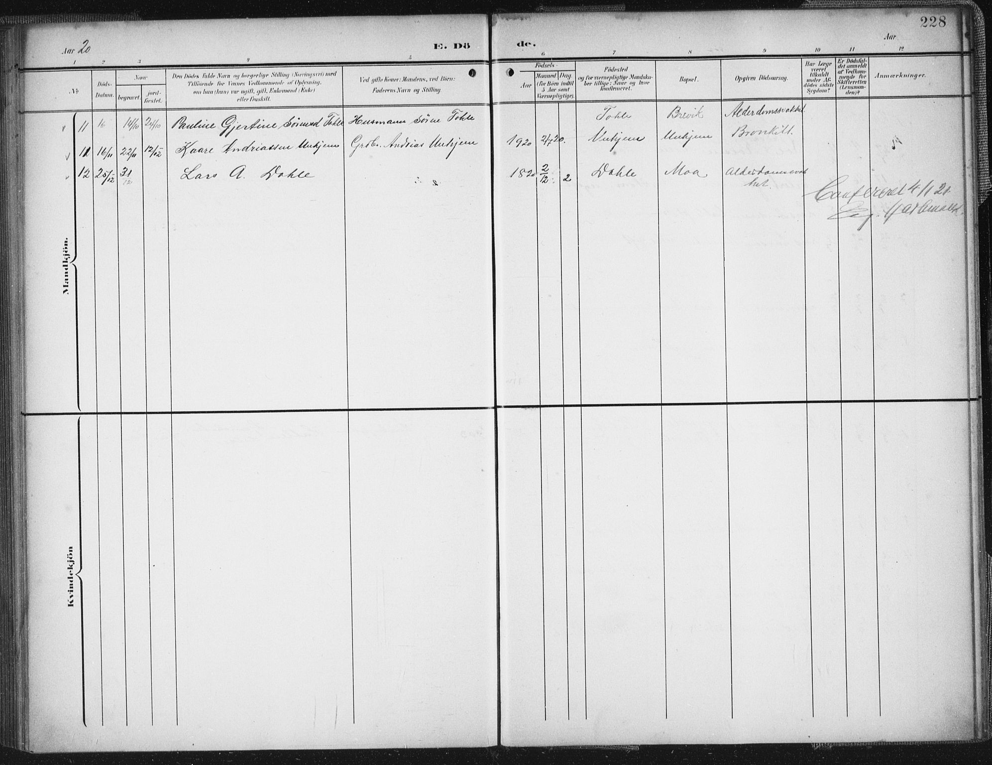 Ministerialprotokoller, klokkerbøker og fødselsregistre - Møre og Romsdal, AV/SAT-A-1454/545/L0589: Parish register (copy) no. 545C03, 1902-1937, p. 228