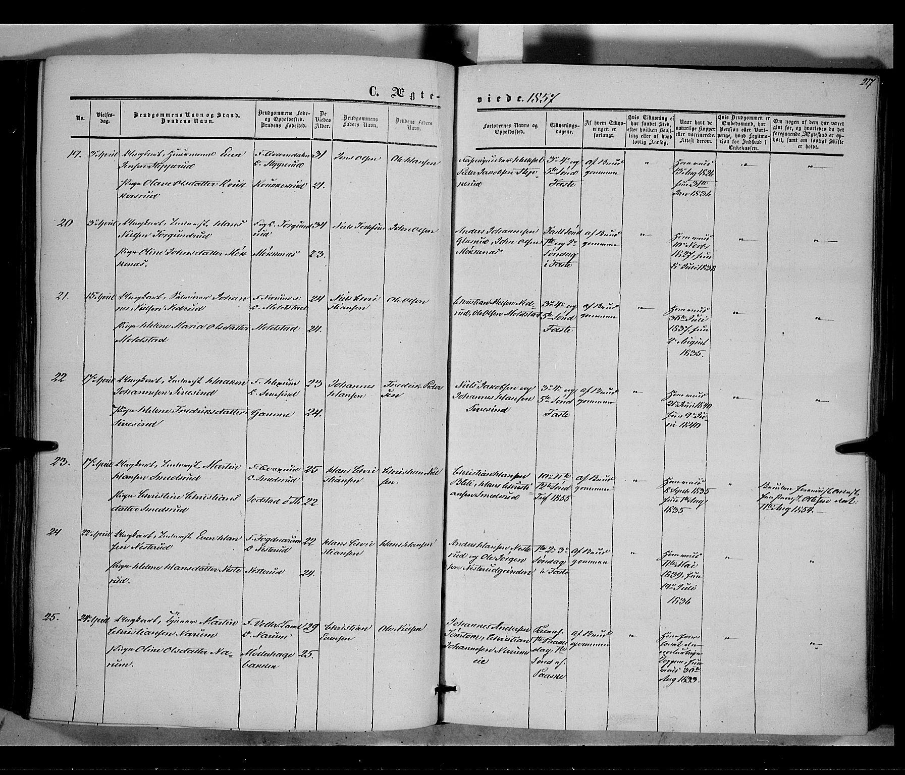 Vestre Toten prestekontor, SAH/PREST-108/H/Ha/Haa/L0006: Parish register (official) no. 6, 1856-1861, p. 217