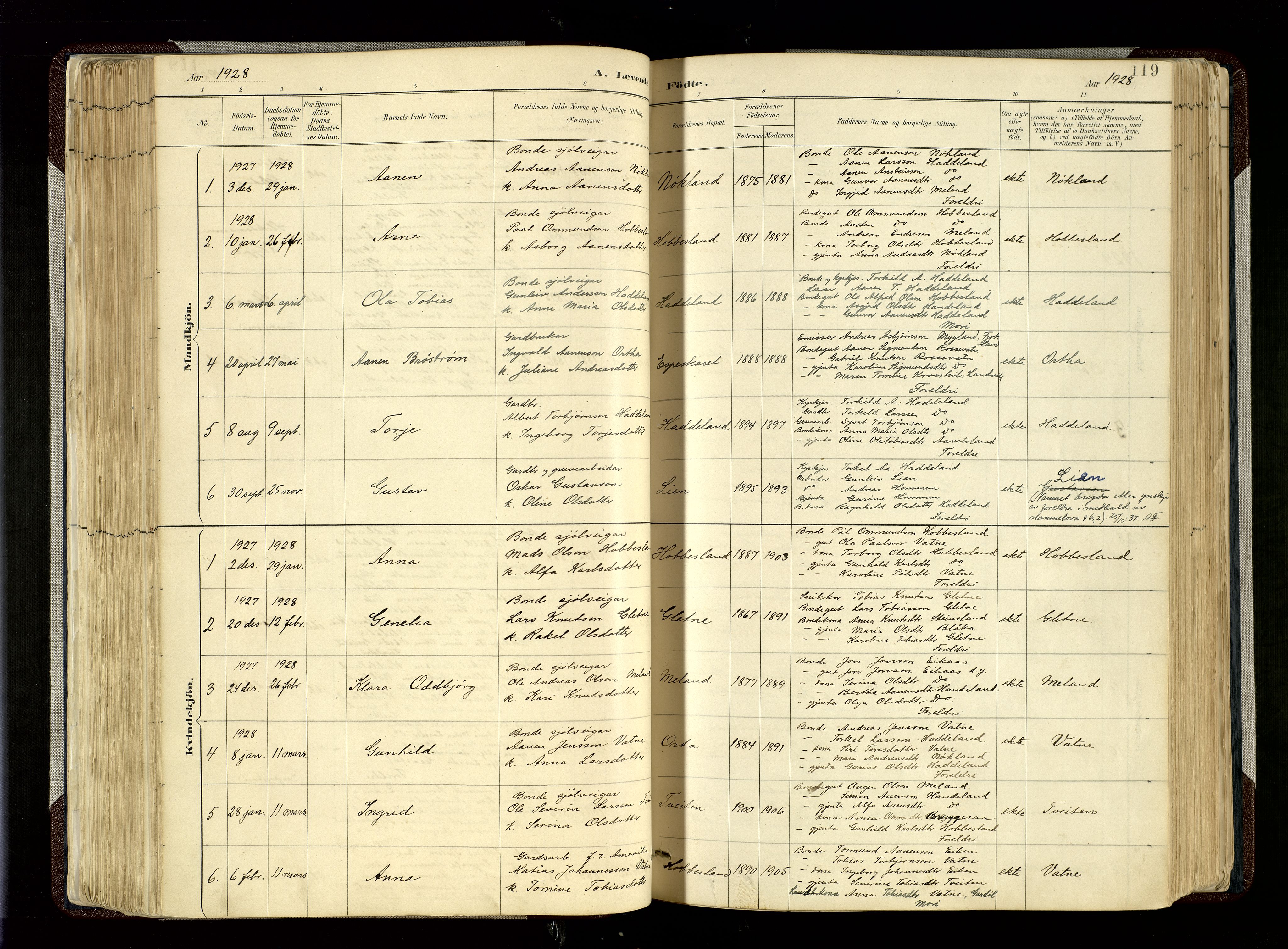 Hægebostad sokneprestkontor, SAK/1111-0024/F/Fa/Fab/L0004: Parish register (official) no. A 4, 1887-1929, p. 119