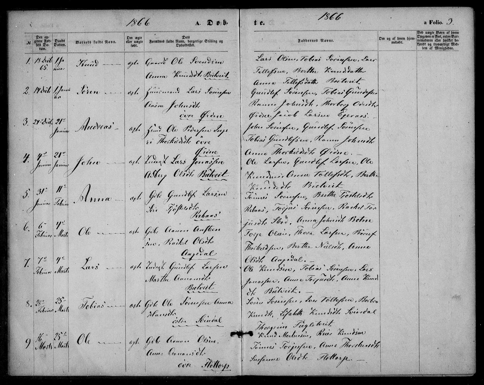 Bjelland sokneprestkontor, SAK/1111-0005/F/Fa/Fac/L0002: Parish register (official) no. A 2, 1866-1887, p. 3