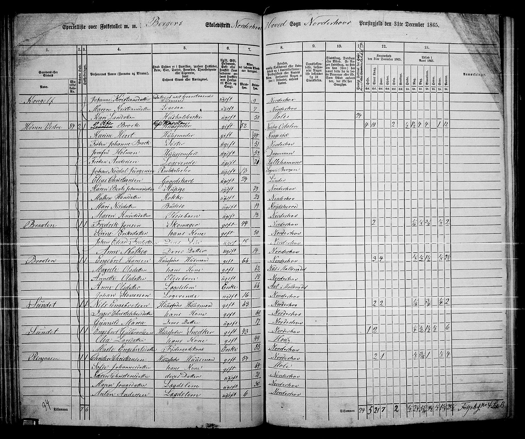 RA, 1865 census for Norderhov/Norderhov, Haug og Lunder, 1865, p. 83