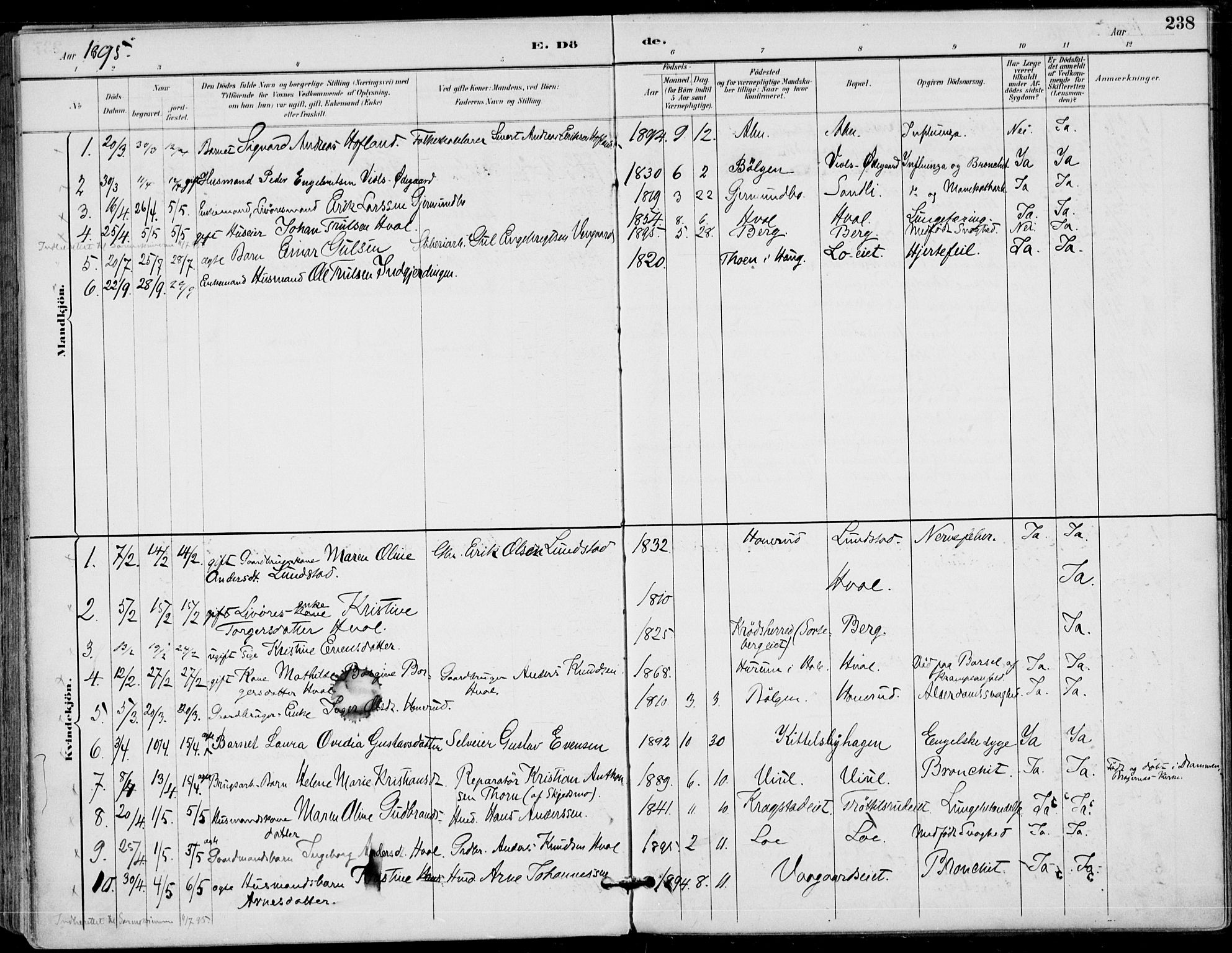 Haug kirkebøker, AV/SAKO-A-604/F/Fa/L0001: Parish register (official) no. 1, 1885-1917, p. 238