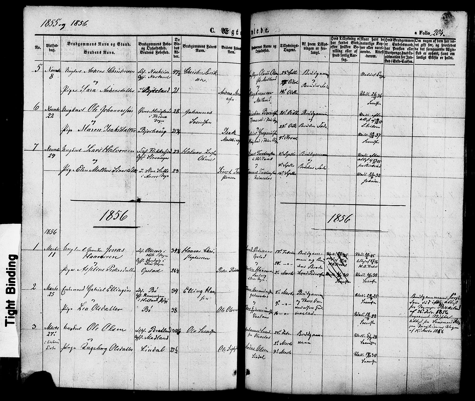 Hå sokneprestkontor, AV/SAST-A-101801/001/30BA/L0008: Parish register (official) no. A 7, 1853-1878, p. 204