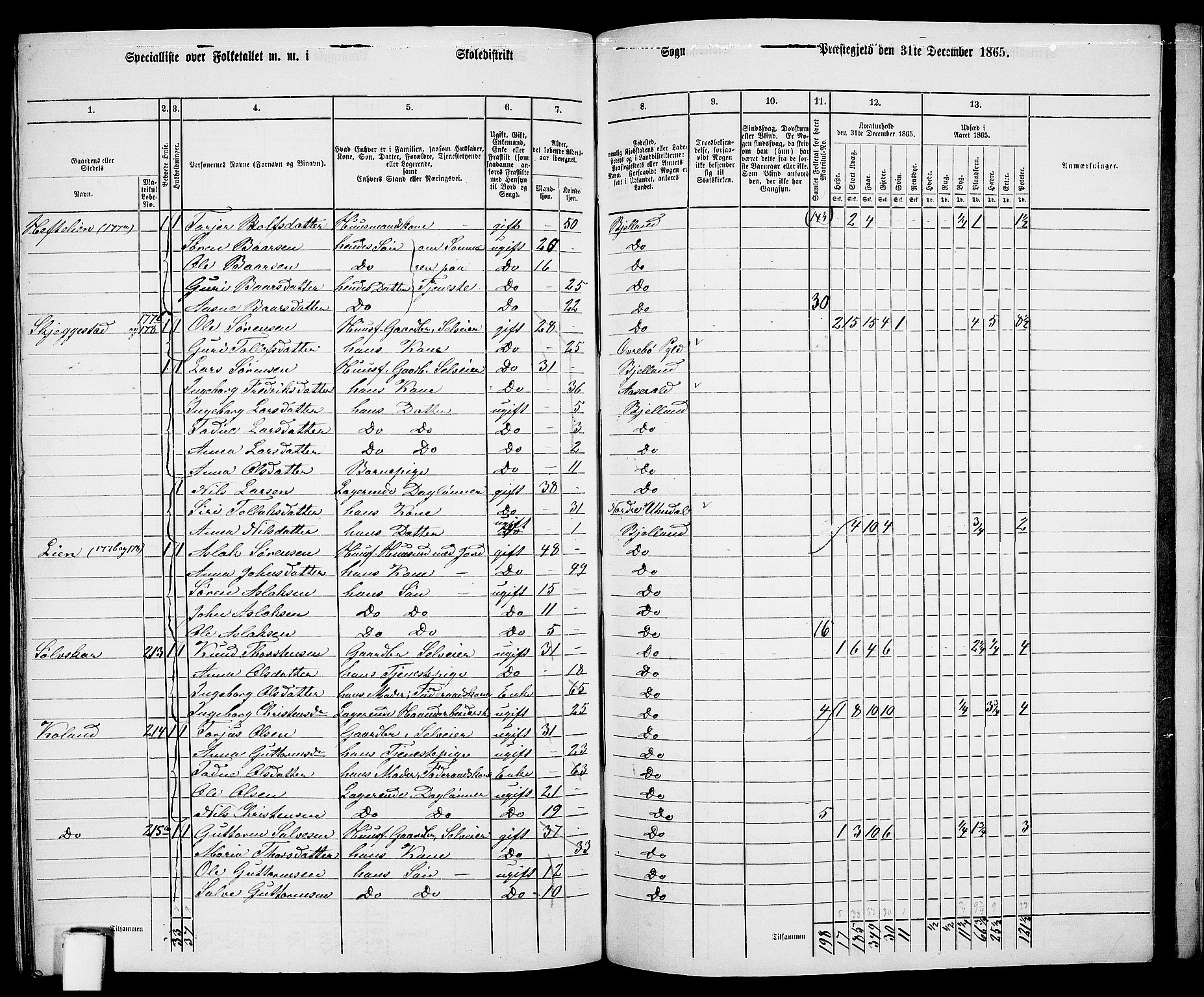 RA, 1865 census for Bjelland, 1865, p. 103