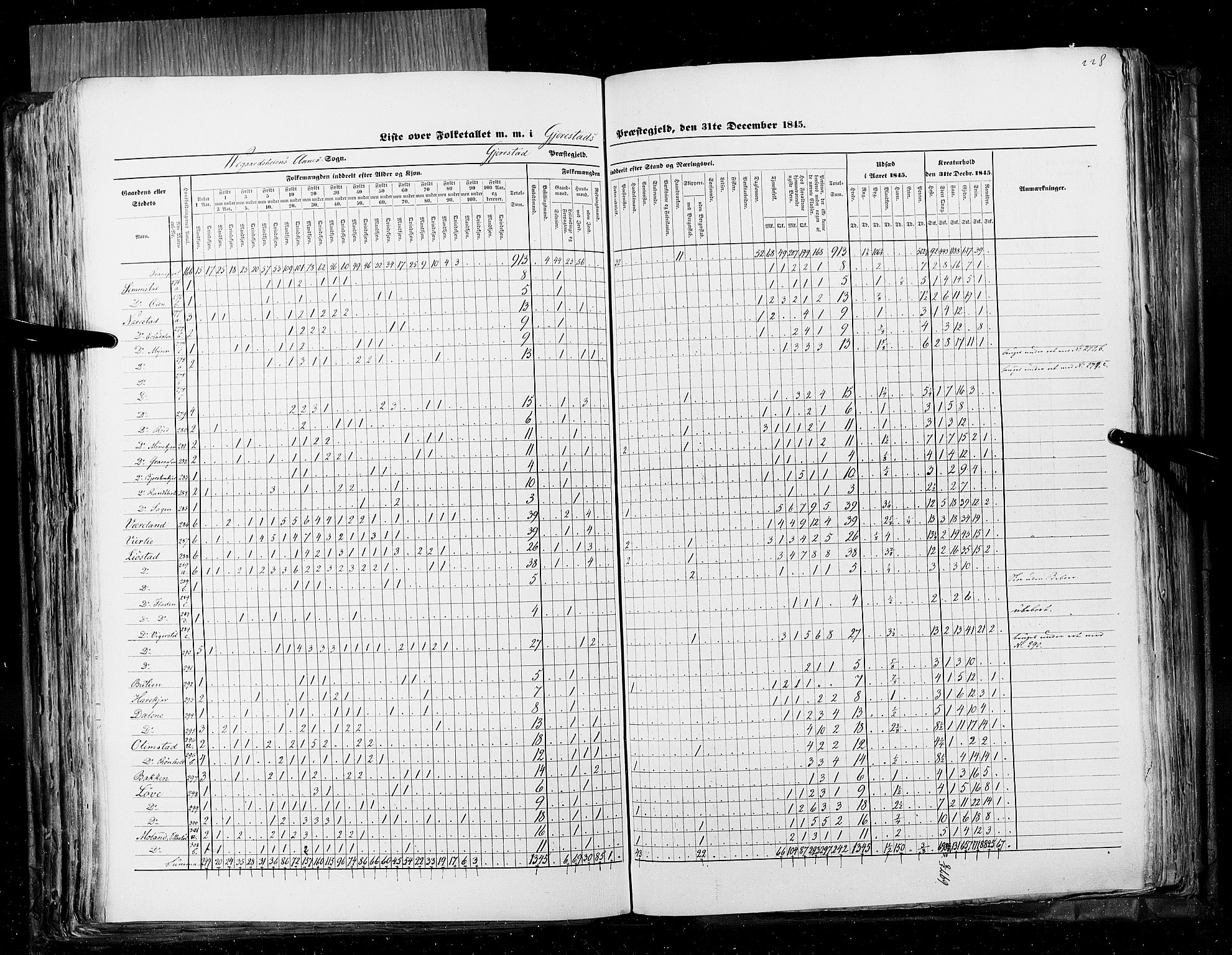 RA, Census 1845, vol. 5: Bratsberg amt og Nedenes og Råbyggelaget amt, 1845, p. 228