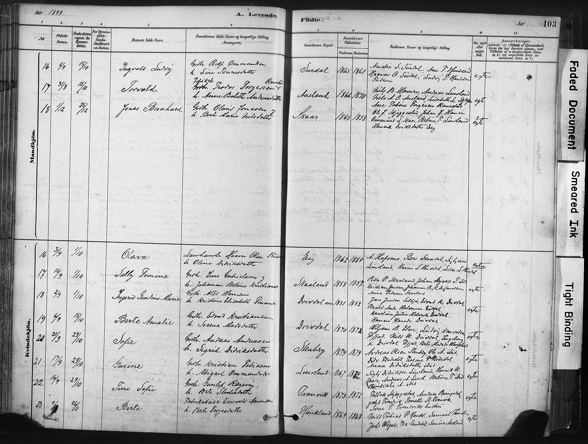 Lund sokneprestkontor, AV/SAST-A-101809/S06/L0011: Parish register (official) no. A 10, 1877-1904, p. 103