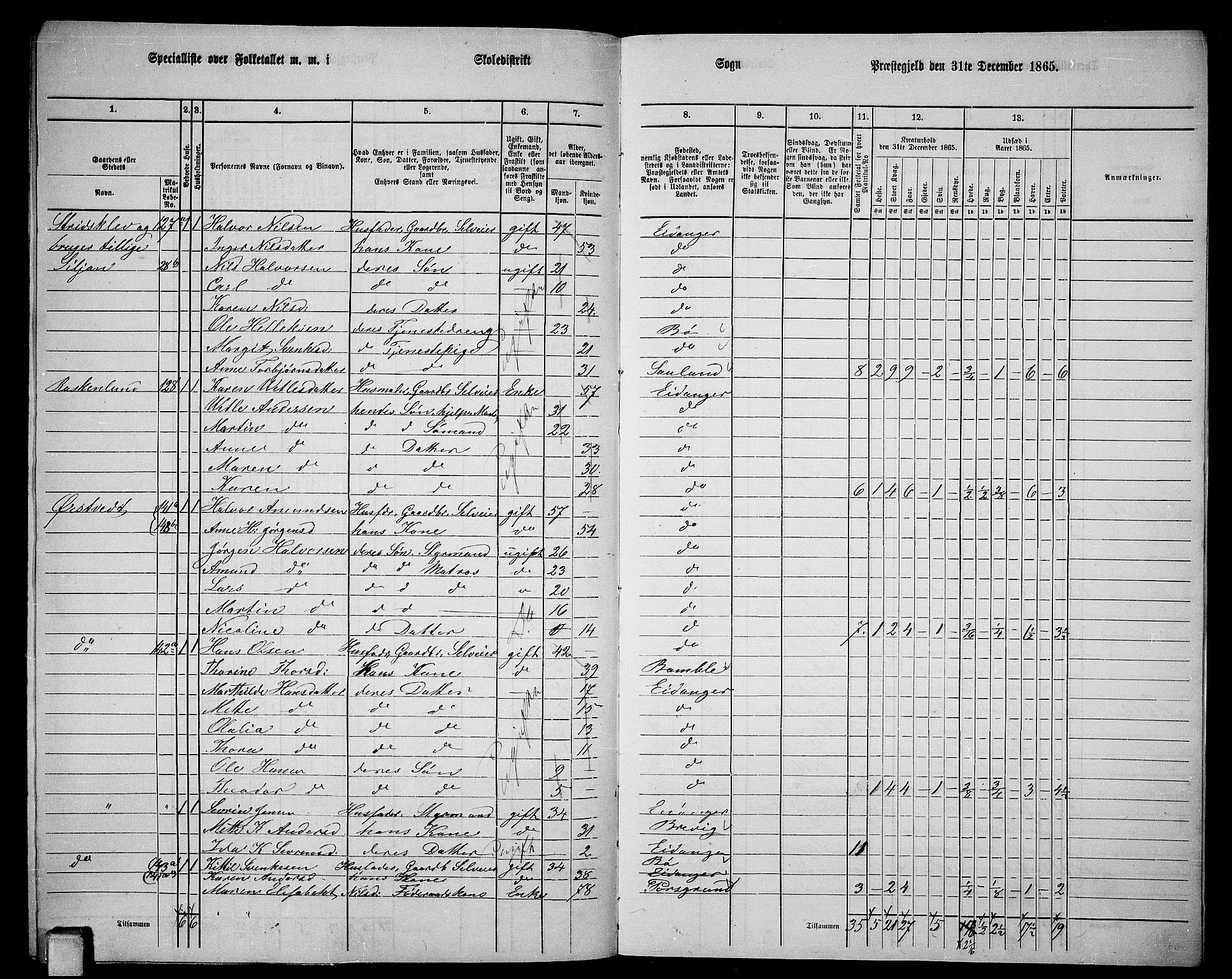 RA, 1865 census for Eidanger, 1865, p. 115