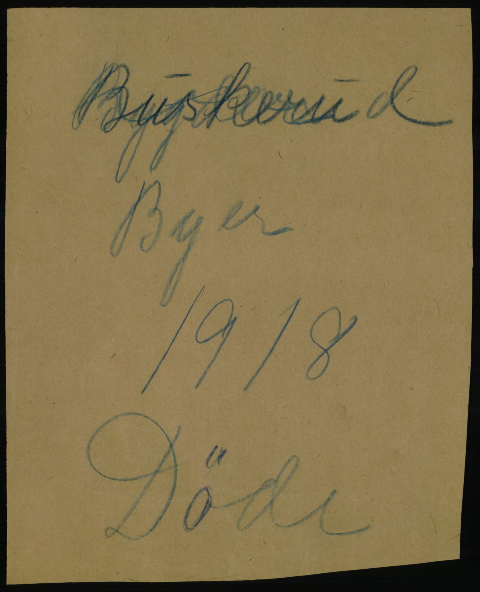 Statistisk sentralbyrå, Sosiodemografiske emner, Befolkning, AV/RA-S-2228/D/Df/Dfb/Dfbh/L0020: Buskerud fylke: Døde. Bygder og byer., 1918, p. 437