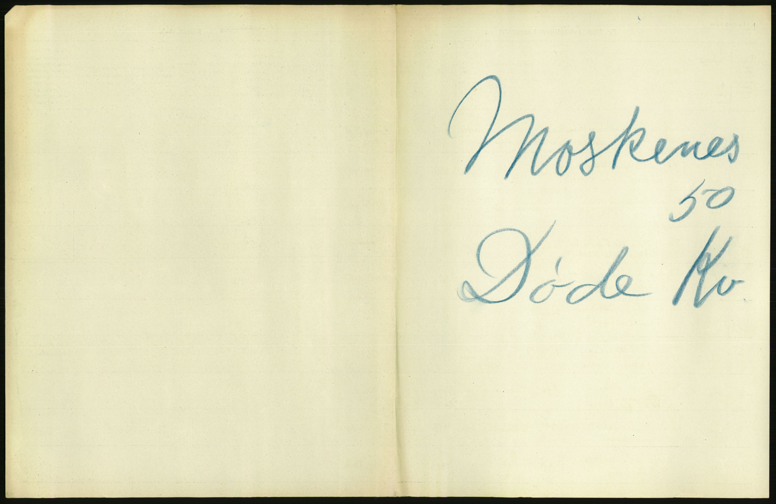 Statistisk sentralbyrå, Sosiodemografiske emner, Befolkning, AV/RA-S-2228/D/Df/Dfb/Dfbg/L0052: Nordlands amt: Døde. Bygder og byer., 1917, p. 65