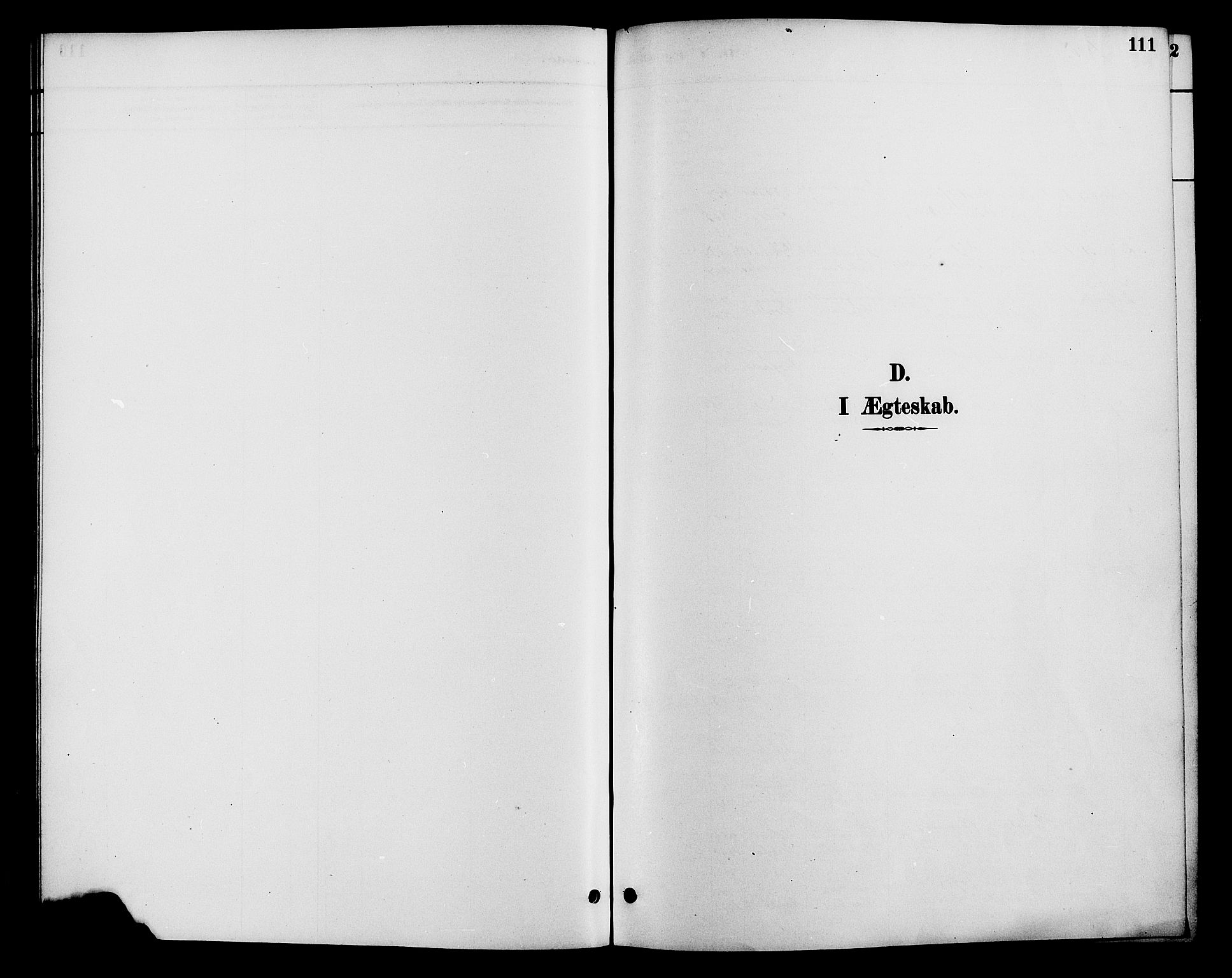 Gjerstad sokneprestkontor, SAK/1111-0014/F/Fa/Faa/L0009: Parish register (official) no. A 9, 1885-1890, p. 111