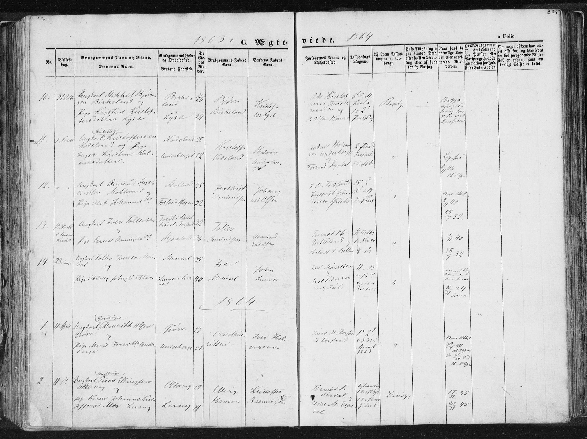 Høgsfjord sokneprestkontor, AV/SAST-A-101624/H/Ha/Haa/L0001: Parish register (official) no. A 1, 1854-1875, p. 228