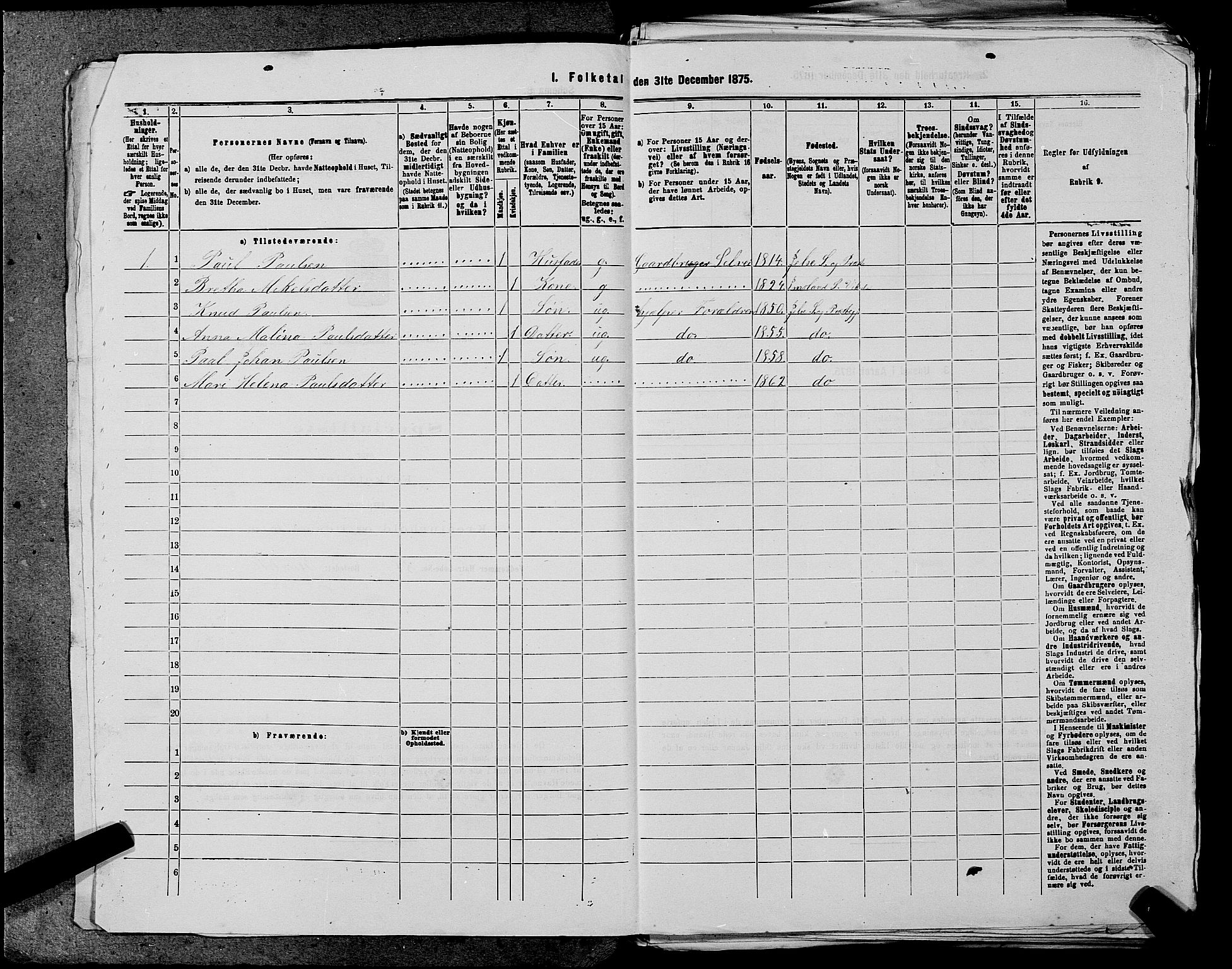 SAST, 1875 census for 1138P Jelsa, 1875, p. 188