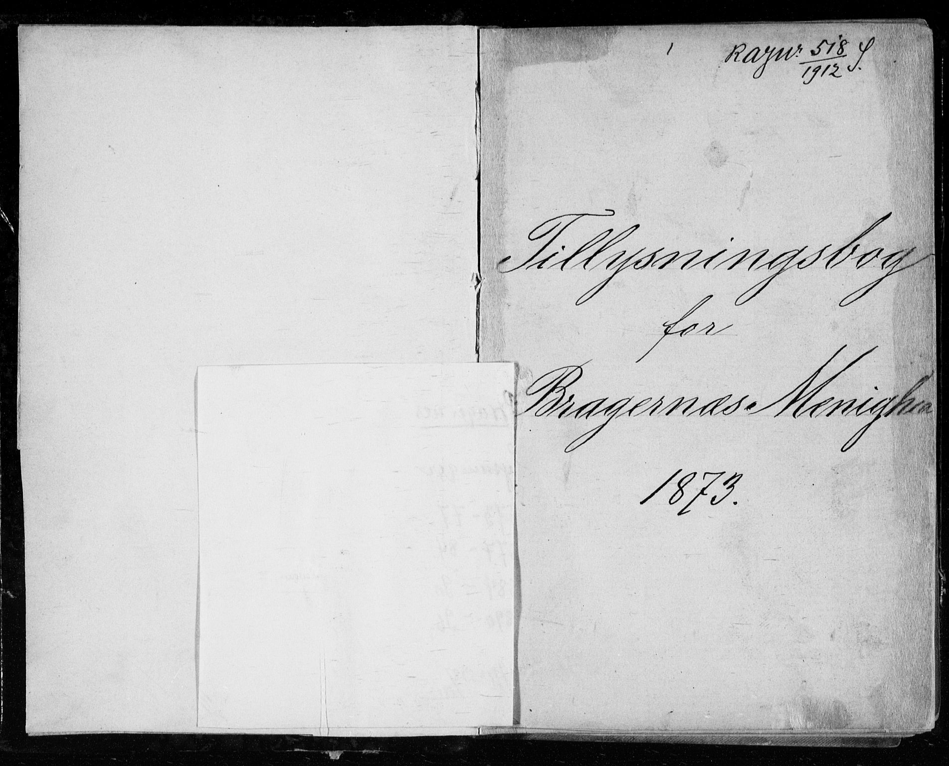 Bragernes kirkebøker, AV/SAKO-A-6/H/Ha/L0006: Banns register no. 6, 1873-1896