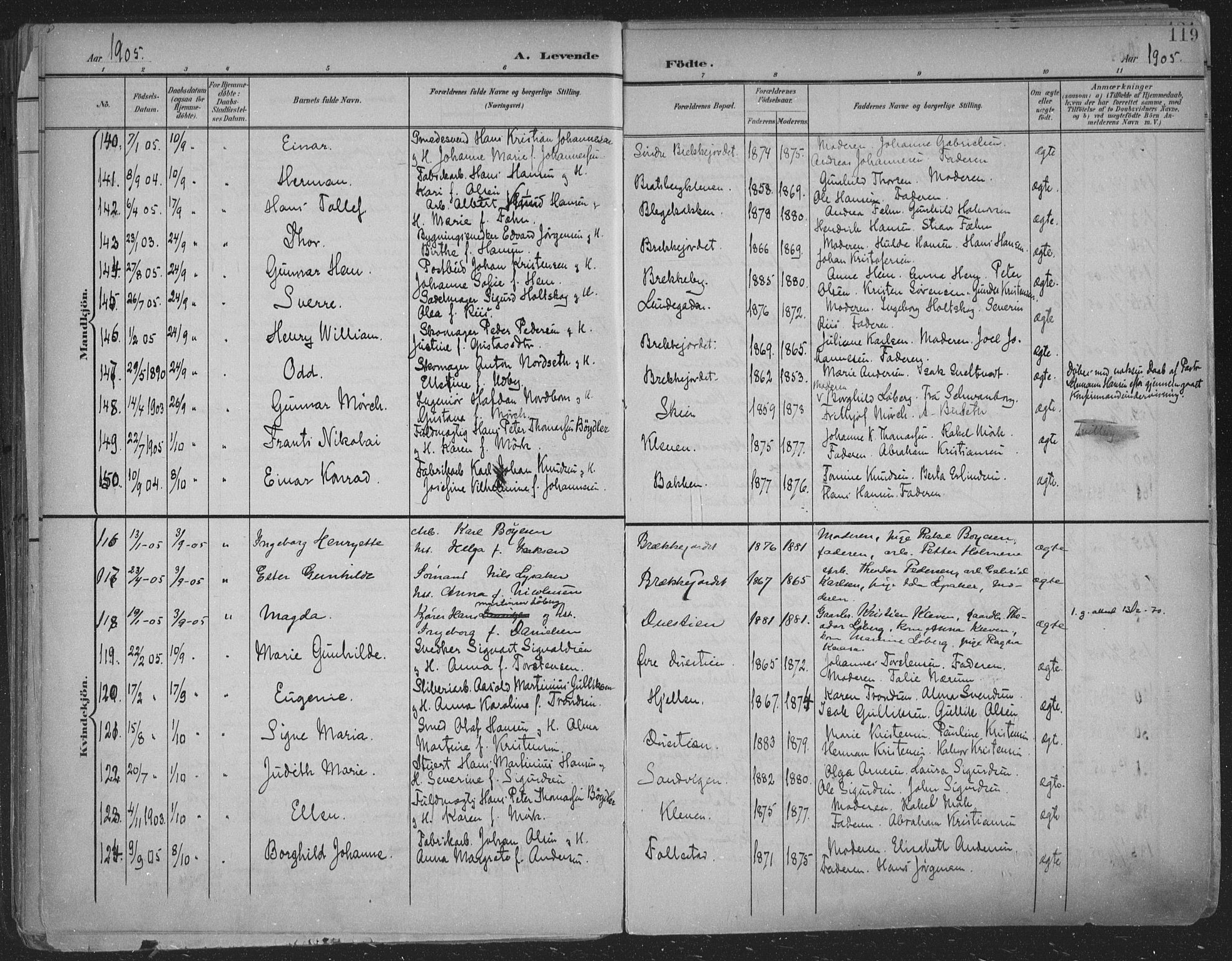 Skien kirkebøker, SAKO/A-302/F/Fa/L0011: Parish register (official) no. 11, 1900-1907, p. 119