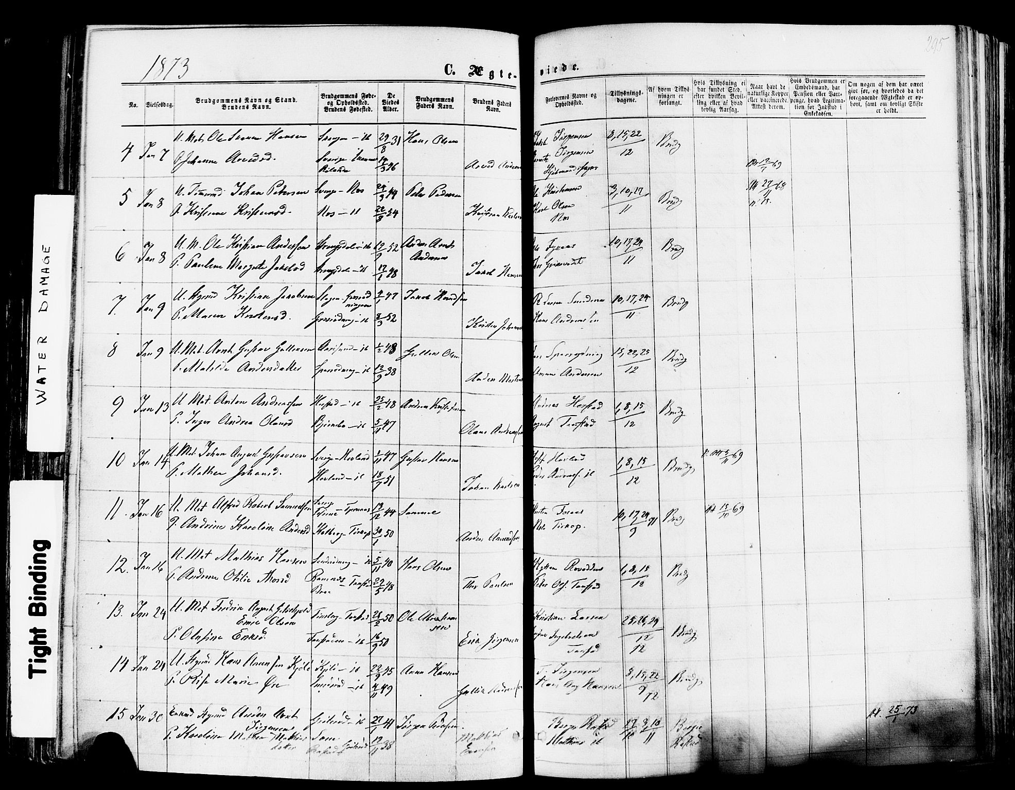 Nøtterøy kirkebøker, AV/SAKO-A-354/F/Fa/L0007: Parish register (official) no. I 7, 1865-1877, p. 295