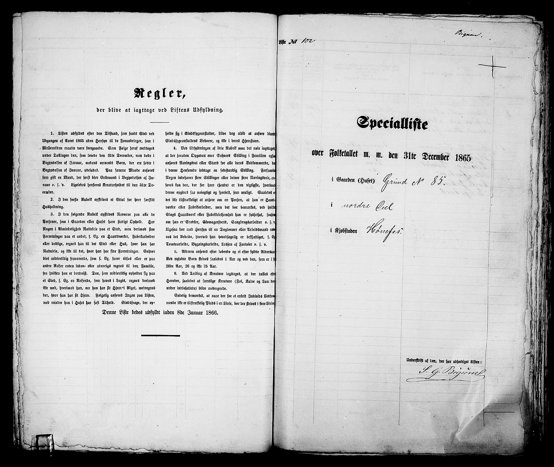 RA, 1865 census for Norderhov/Hønefoss, 1865, p. 199