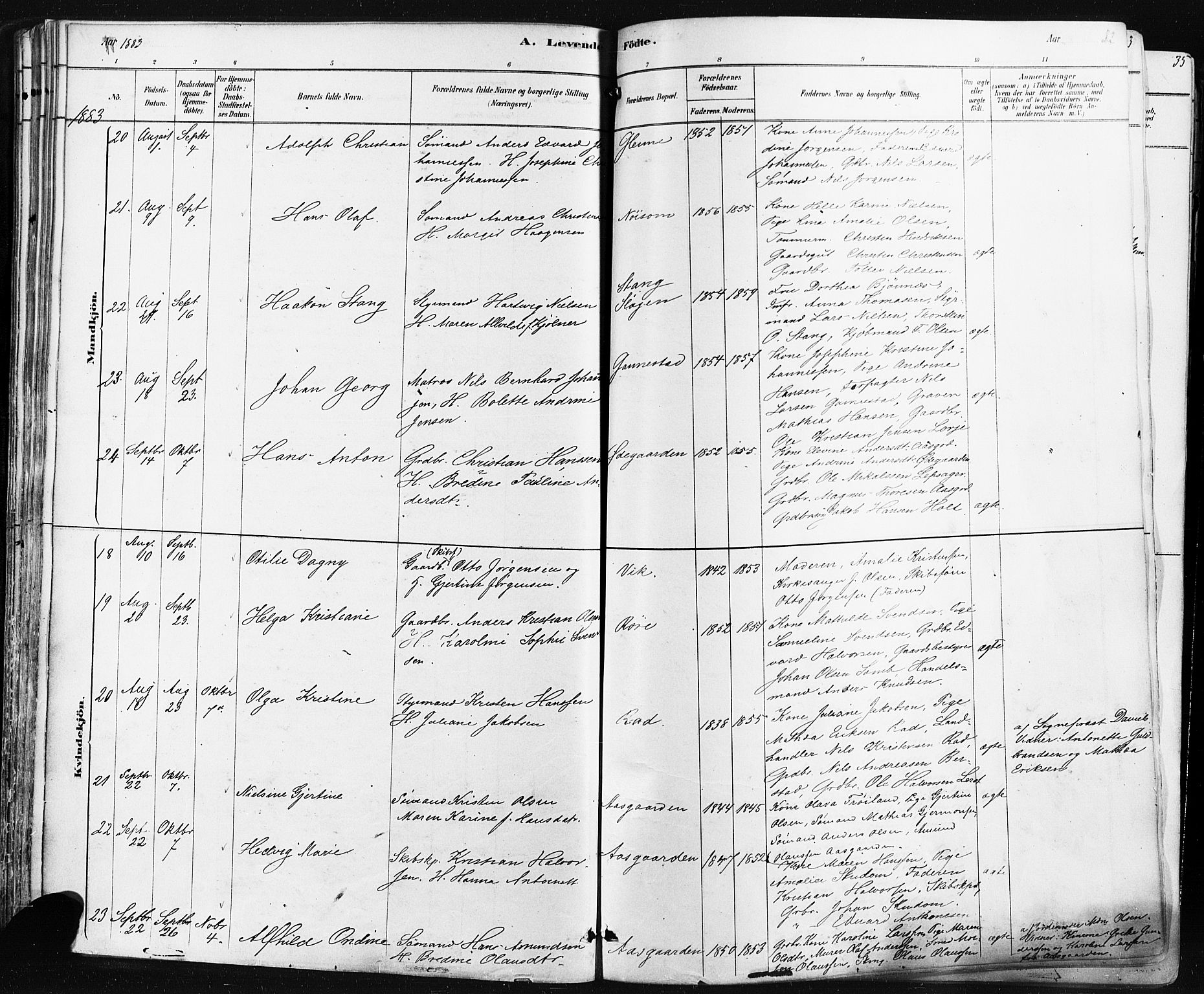 Borre kirkebøker, AV/SAKO-A-338/F/Fa/L0009: Parish register (official) no. I 9, 1878-1896, p. 32