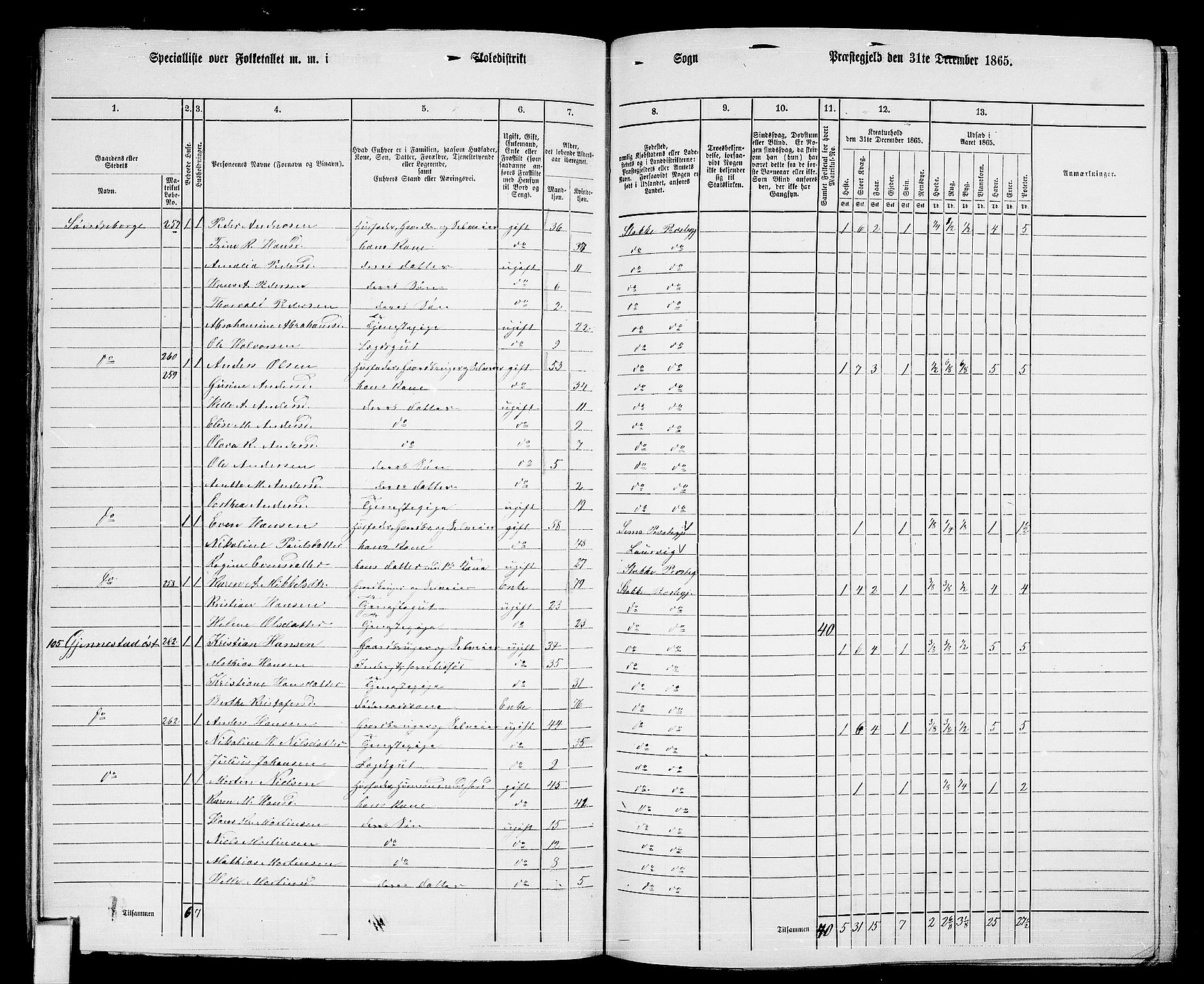 RA, 1865 census for Stokke, 1865, p. 137