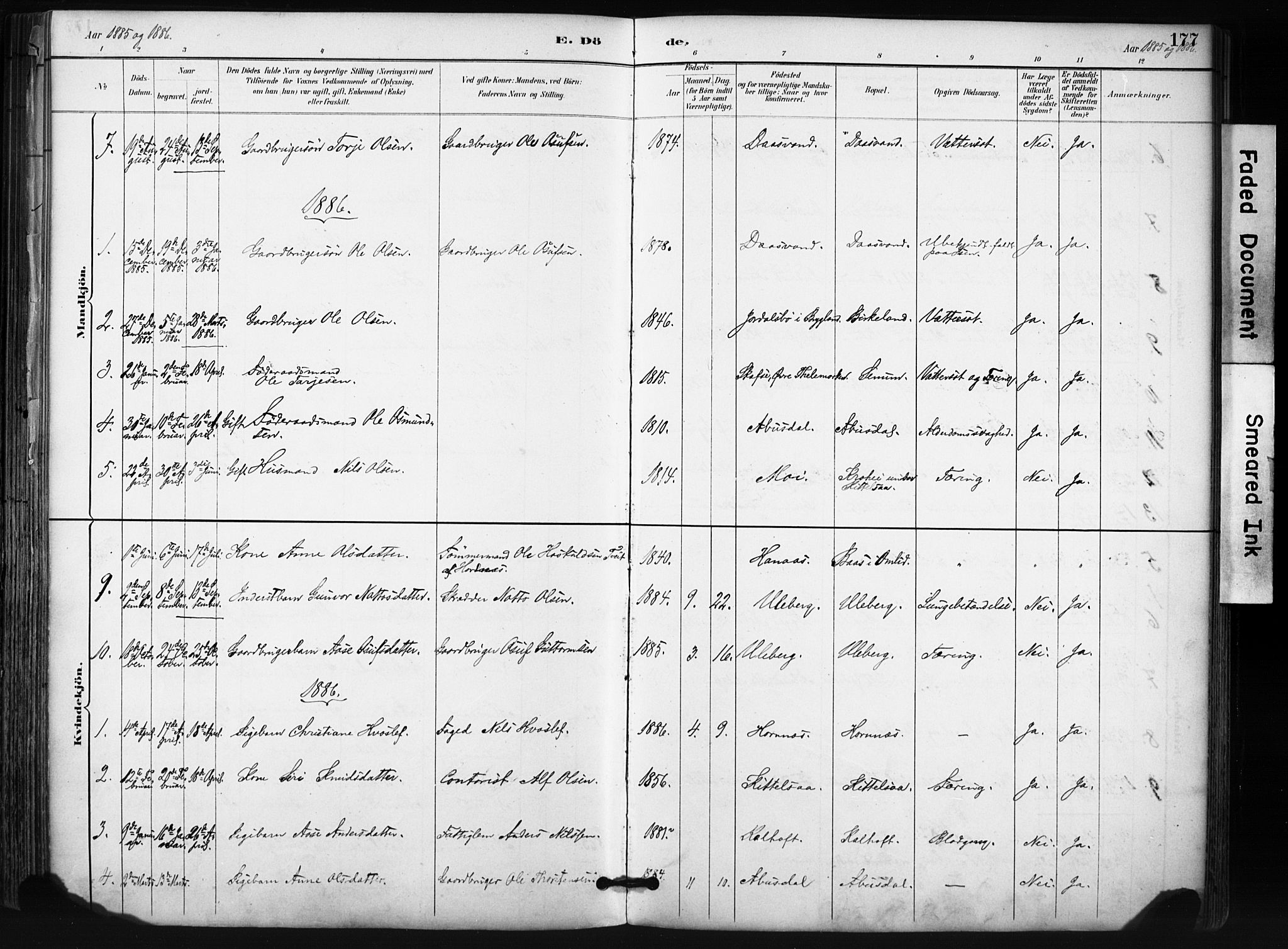 Evje sokneprestkontor, SAK/1111-0008/F/Fa/Fab/L0003: Parish register (official) no. A 3, 1884-1909, p. 177