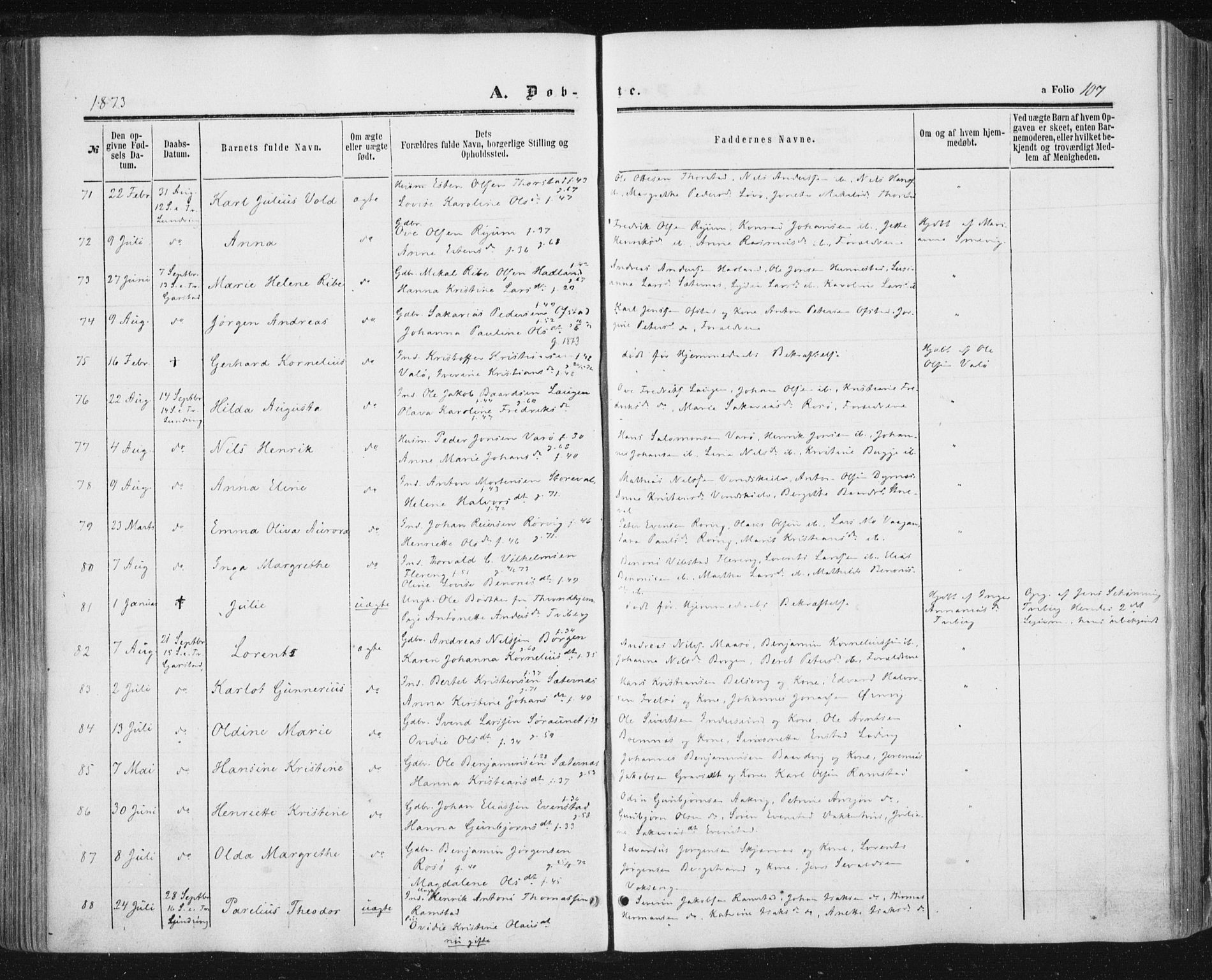Ministerialprotokoller, klokkerbøker og fødselsregistre - Nord-Trøndelag, SAT/A-1458/784/L0670: Parish register (official) no. 784A05, 1860-1876, p. 107