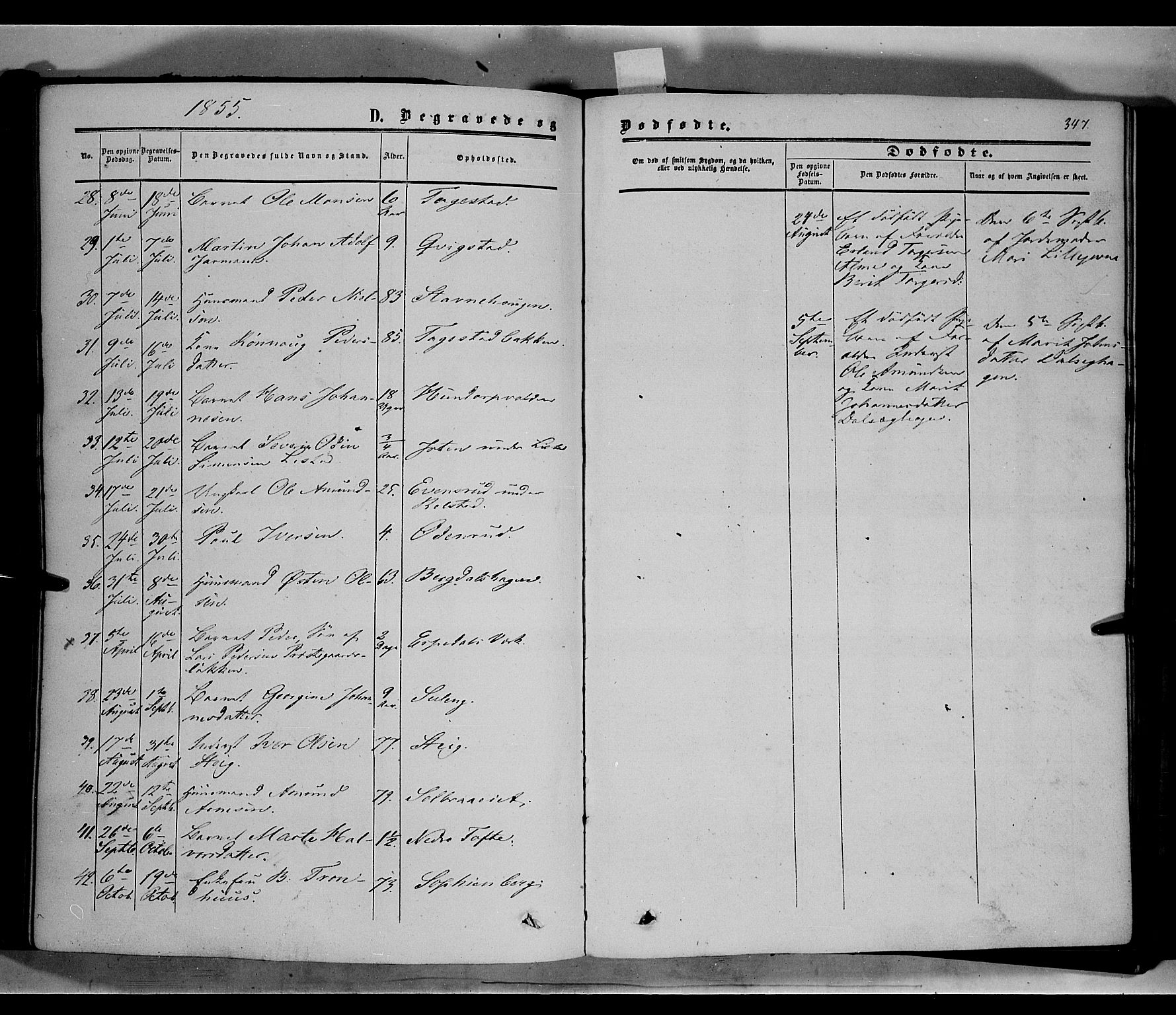 Sør-Fron prestekontor, SAH/PREST-010/H/Ha/Haa/L0001: Parish register (official) no. 1, 1849-1863, p. 347