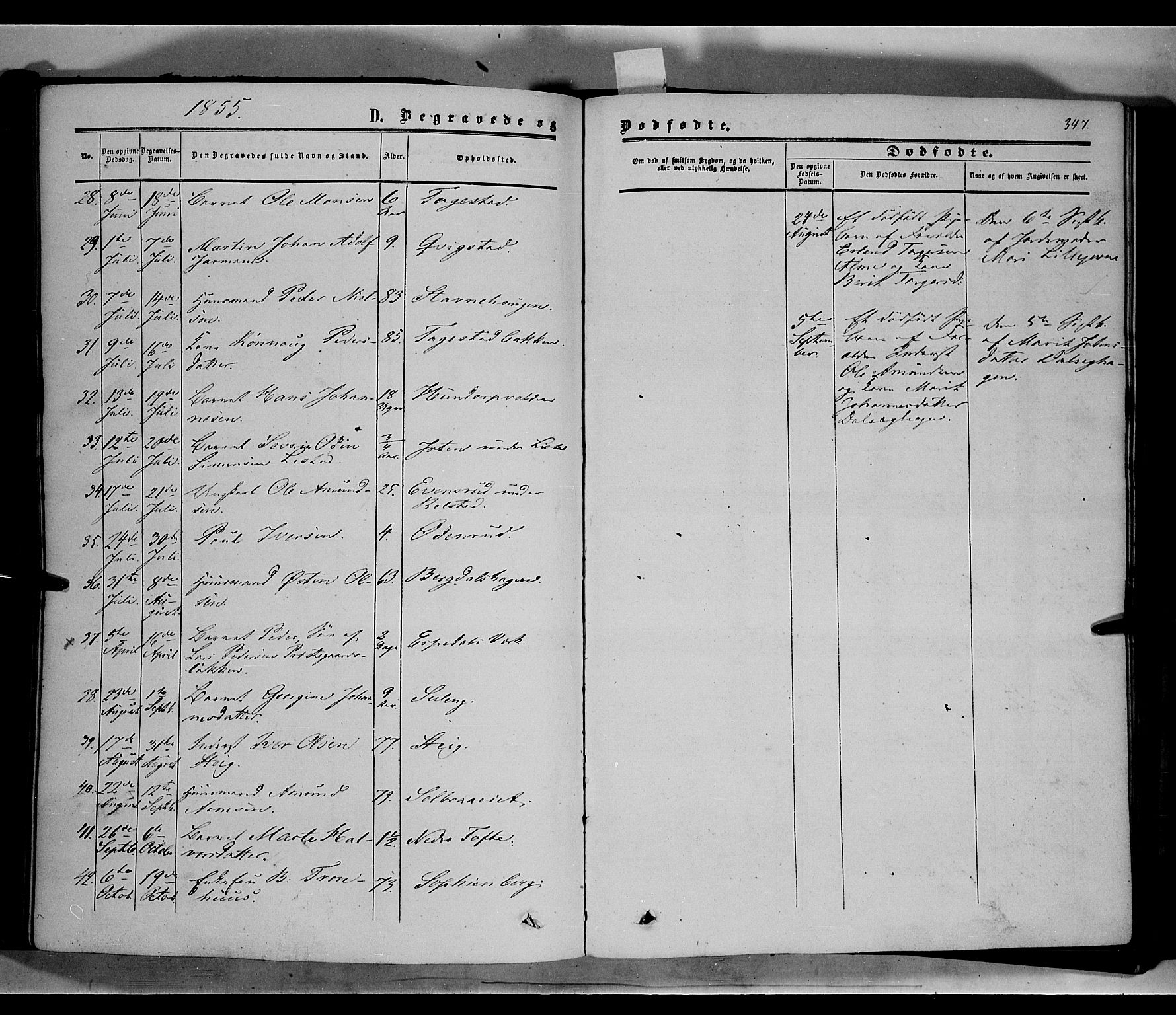 Sør-Fron prestekontor, AV/SAH-PREST-010/H/Ha/Haa/L0001: Parish register (official) no. 1, 1849-1863, p. 347