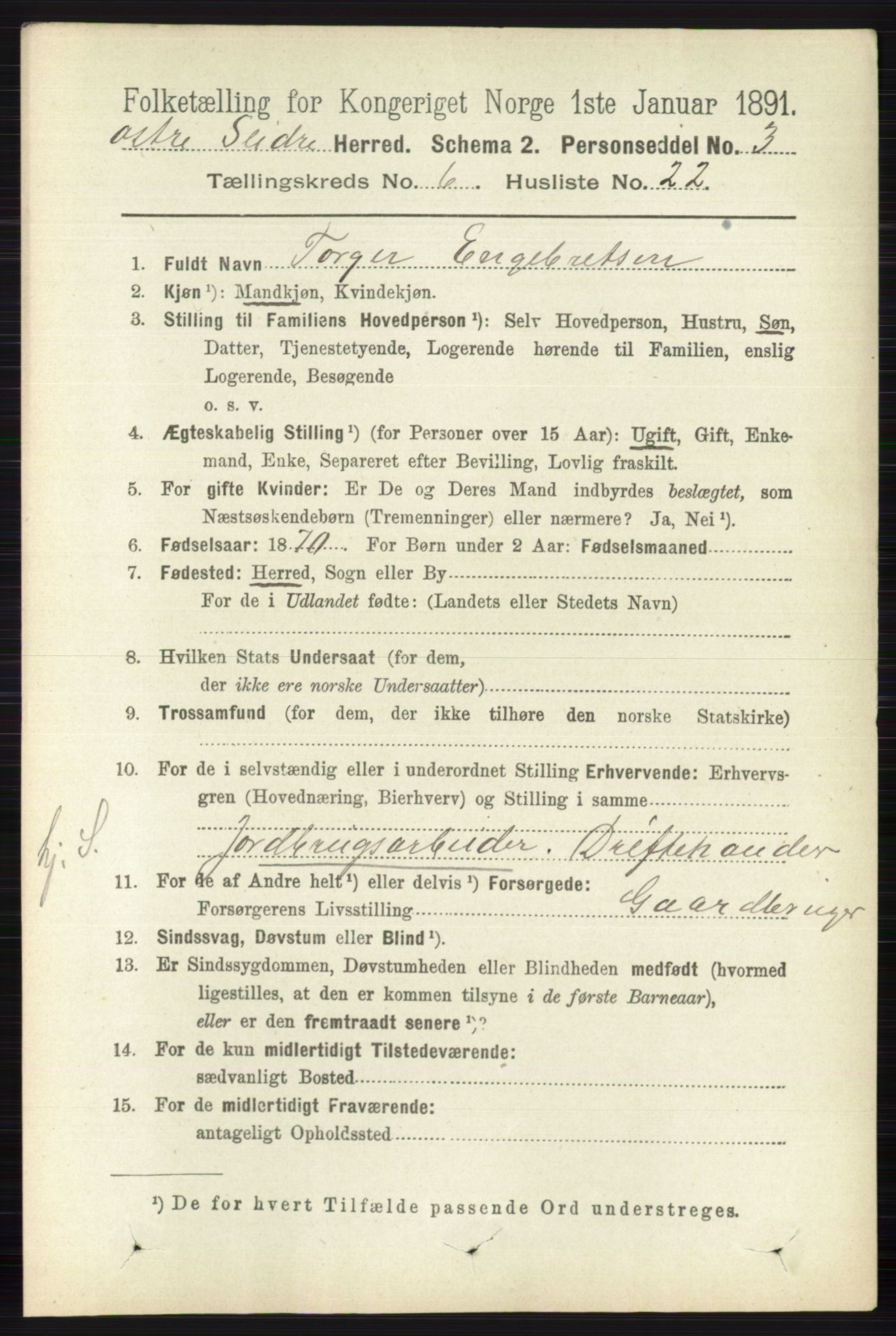 RA, 1891 census for 0544 Øystre Slidre, 1891, p. 1915