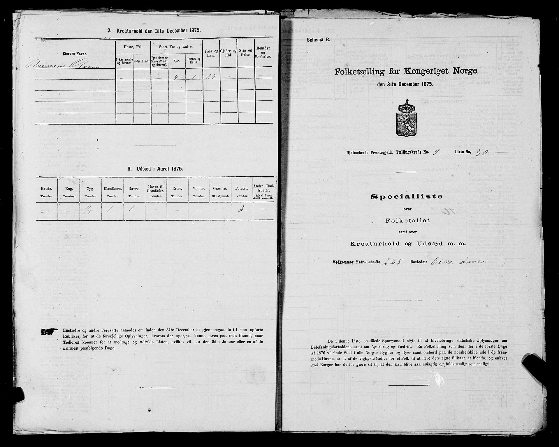 SAST, 1875 census for 1133P Hjelmeland, 1875, p. 1205