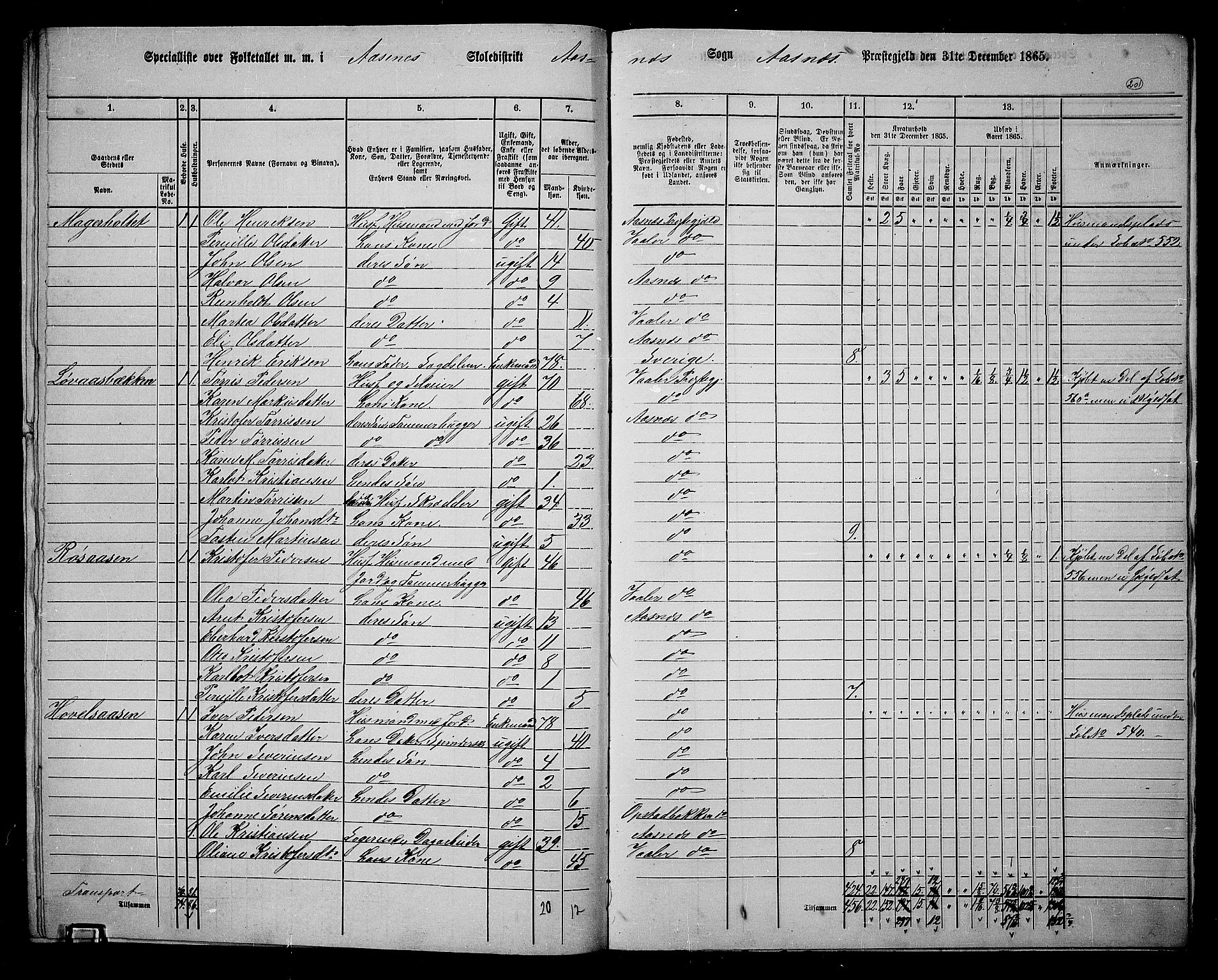 RA, 1865 census for Åsnes, 1865, p. 185