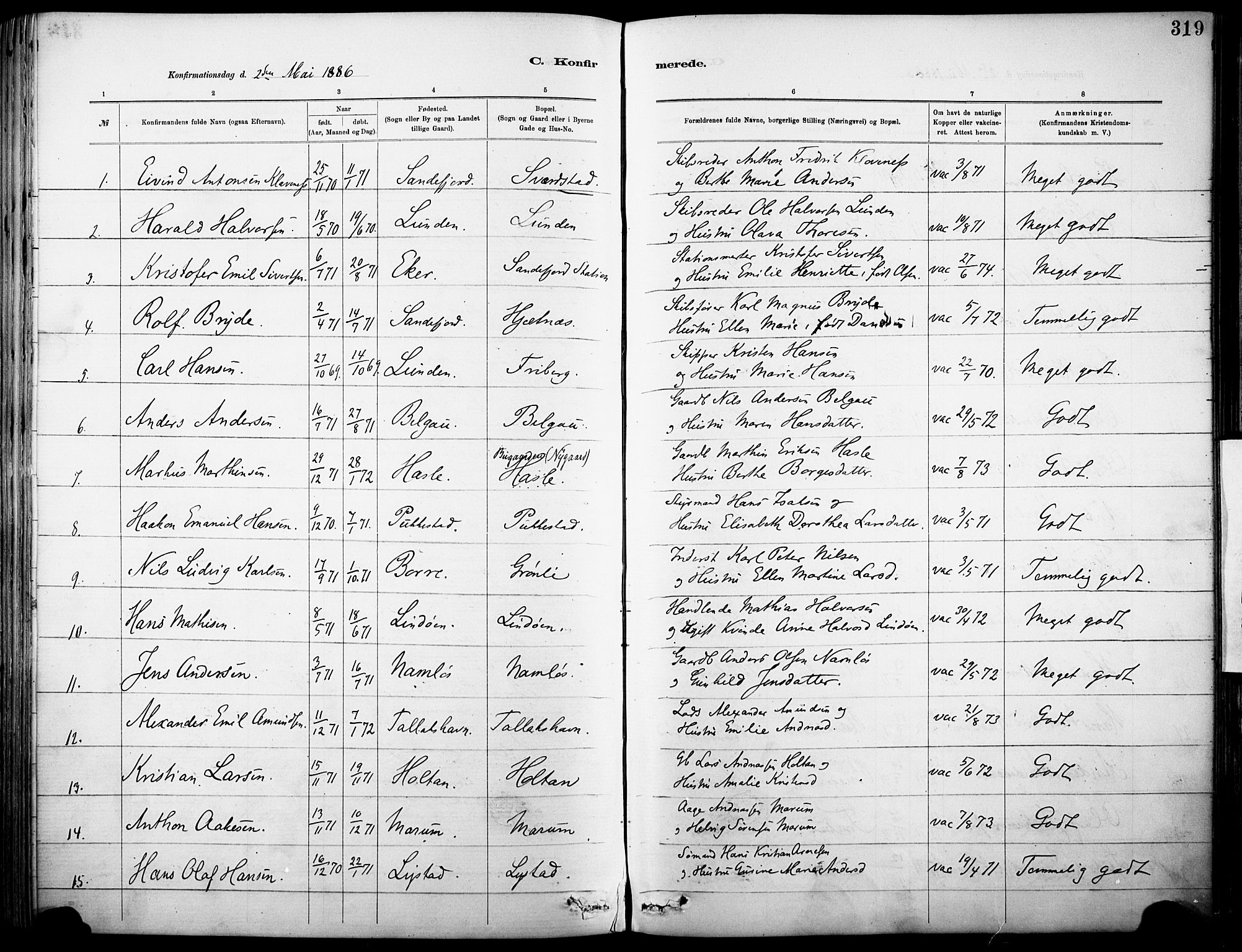 Sandar kirkebøker, SAKO/A-243/F/Fa/L0012: Parish register (official) no. 12, 1883-1895, p. 319