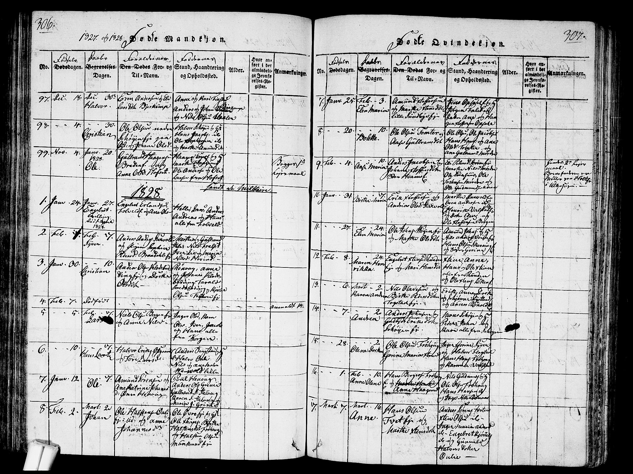 Nes prestekontor Kirkebøker, AV/SAO-A-10410/G/Ga/L0001: Parish register (copy) no. I 1, 1815-1835, p. 306-307