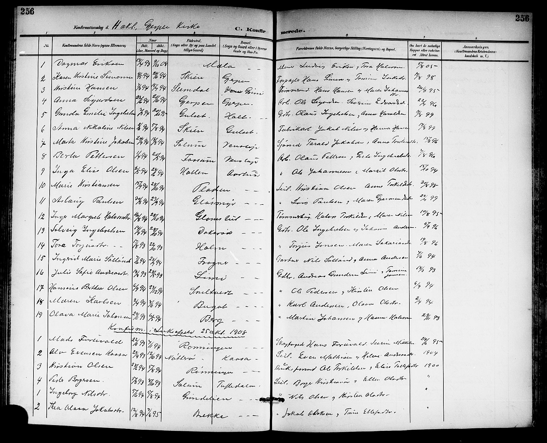 Gjerpen kirkebøker, SAKO/A-265/G/Ga/L0003: Parish register (copy) no. I 3, 1901-1919, p. 256