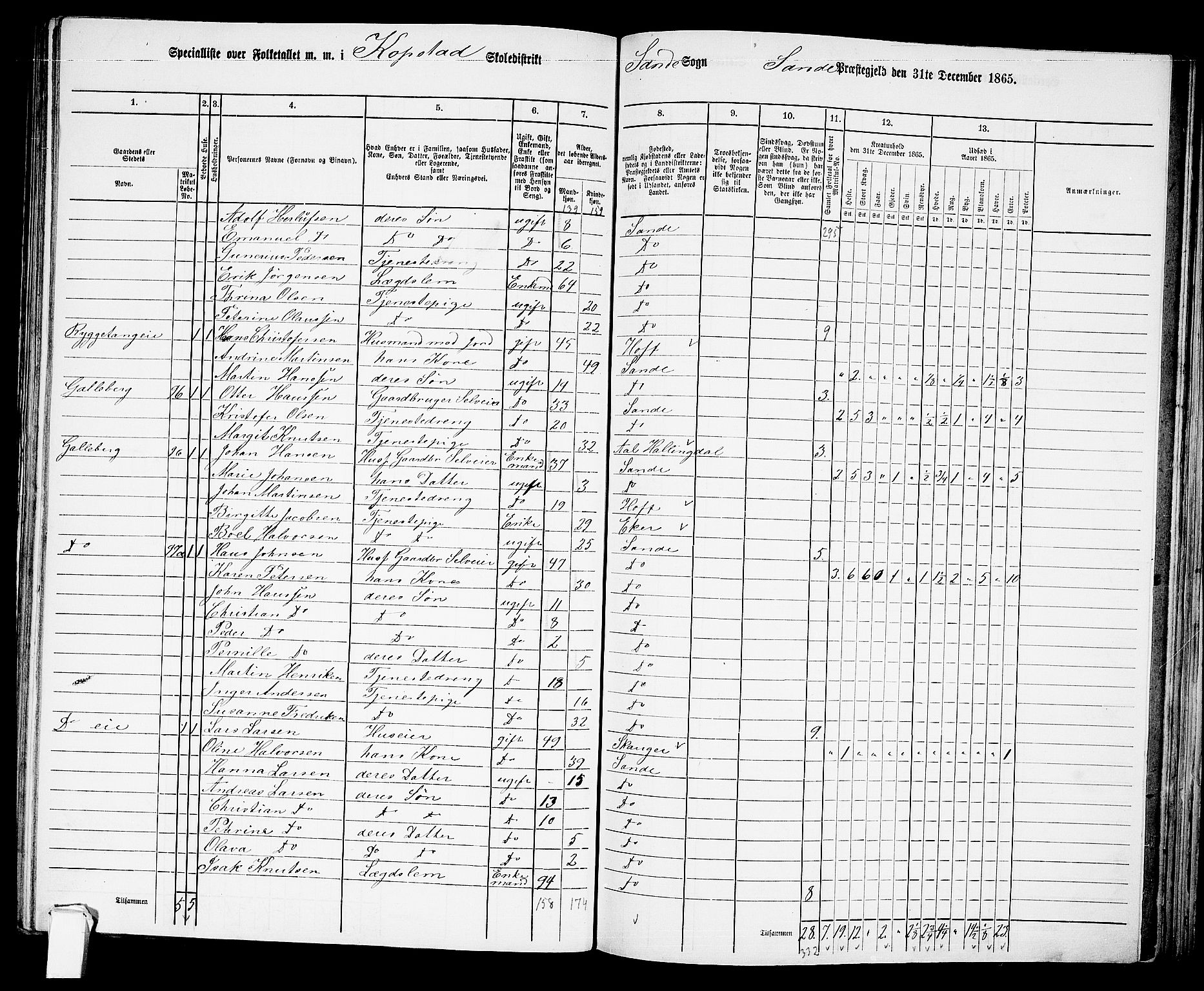 RA, 1865 census for Sande, 1865, p. 68