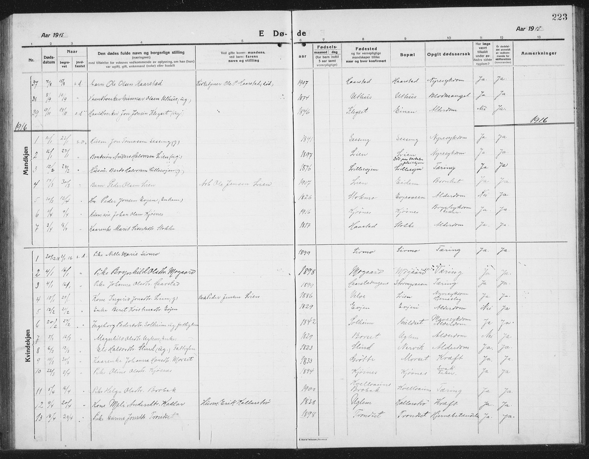 Ministerialprotokoller, klokkerbøker og fødselsregistre - Sør-Trøndelag, SAT/A-1456/695/L1158: Parish register (copy) no. 695C09, 1913-1940, p. 223