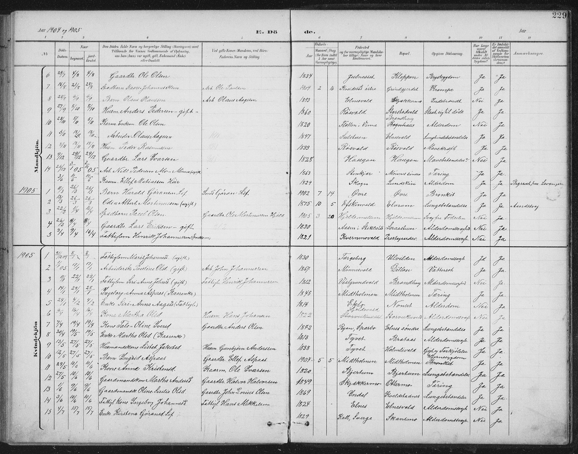 Ministerialprotokoller, klokkerbøker og fødselsregistre - Nord-Trøndelag, AV/SAT-A-1458/724/L0269: Parish register (copy) no. 724C05, 1899-1920, p. 229
