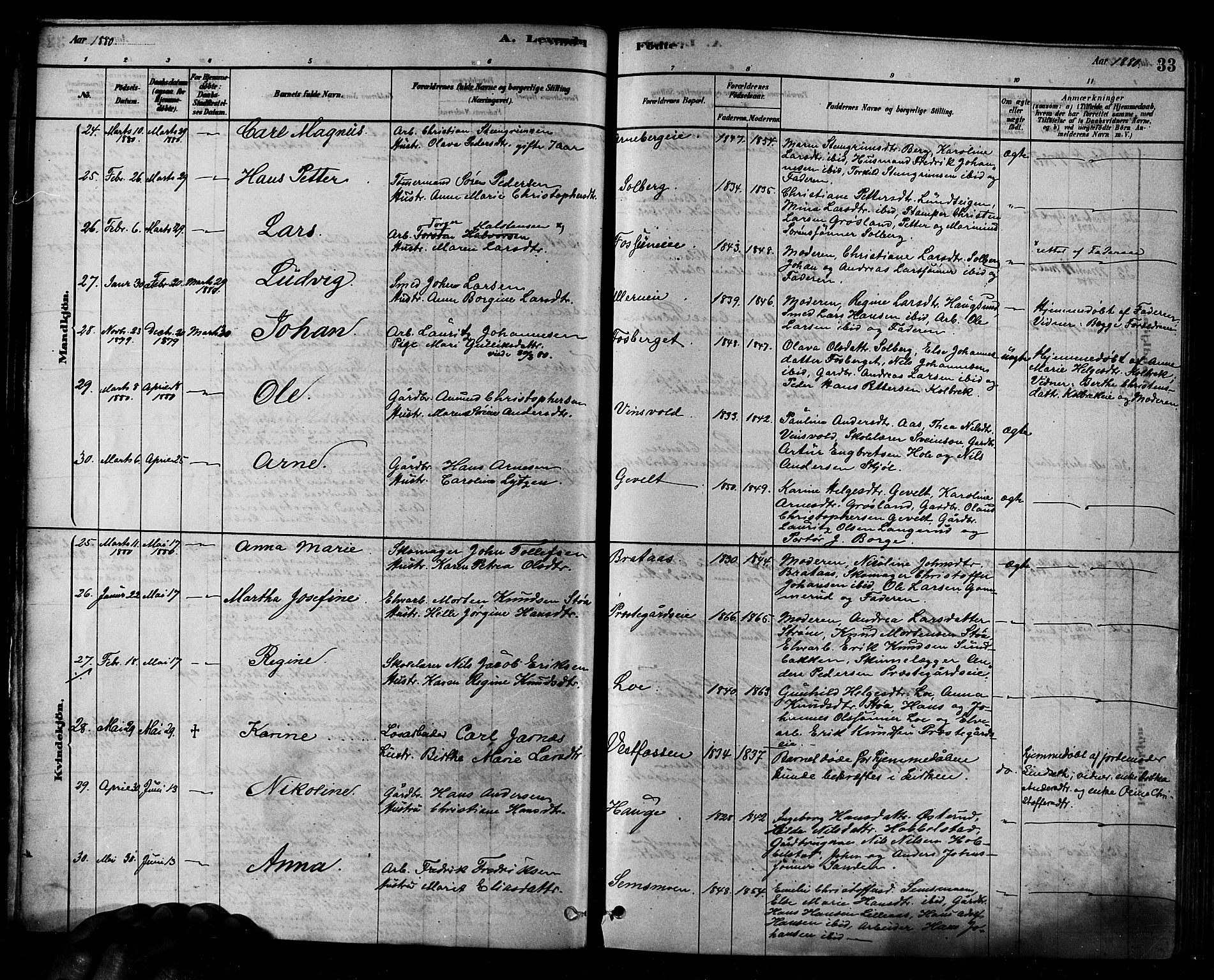 Eiker kirkebøker, AV/SAKO-A-4/F/Fb/L0001: Parish register (official) no. II 1, 1878-1888, p. 33