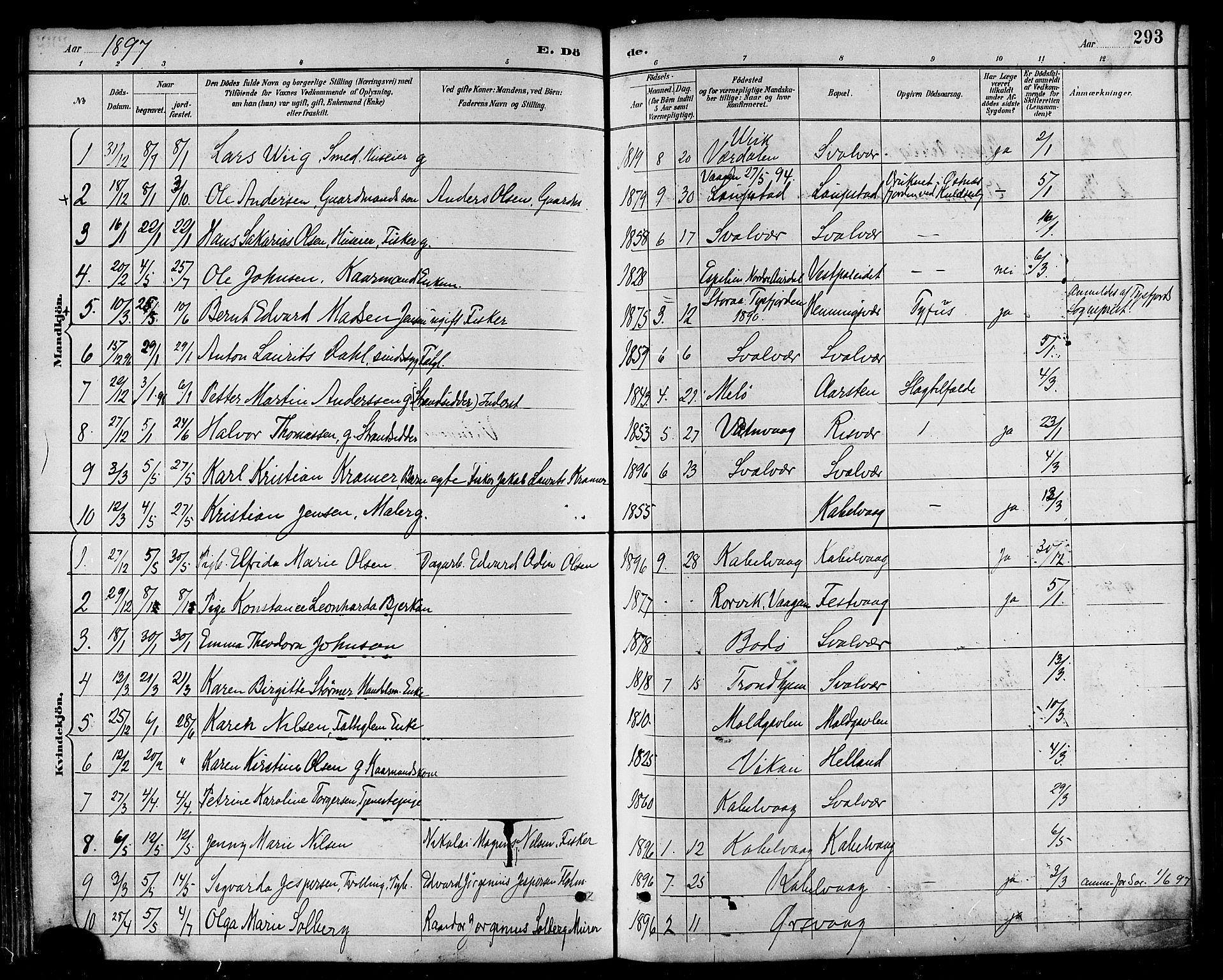 Ministerialprotokoller, klokkerbøker og fødselsregistre - Nordland, AV/SAT-A-1459/874/L1060: Parish register (official) no. 874A04, 1890-1899, p. 293