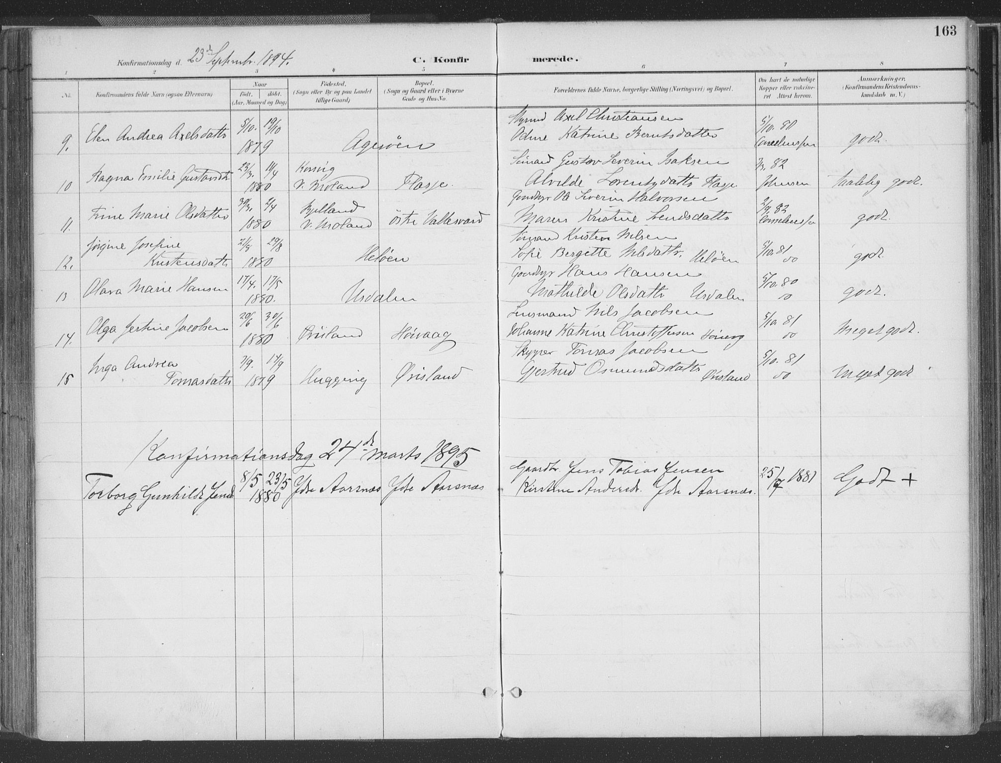 Høvåg sokneprestkontor, AV/SAK-1111-0025/F/Fa/L0006: Parish register (official) no. A 6, 1894-1923, p. 163