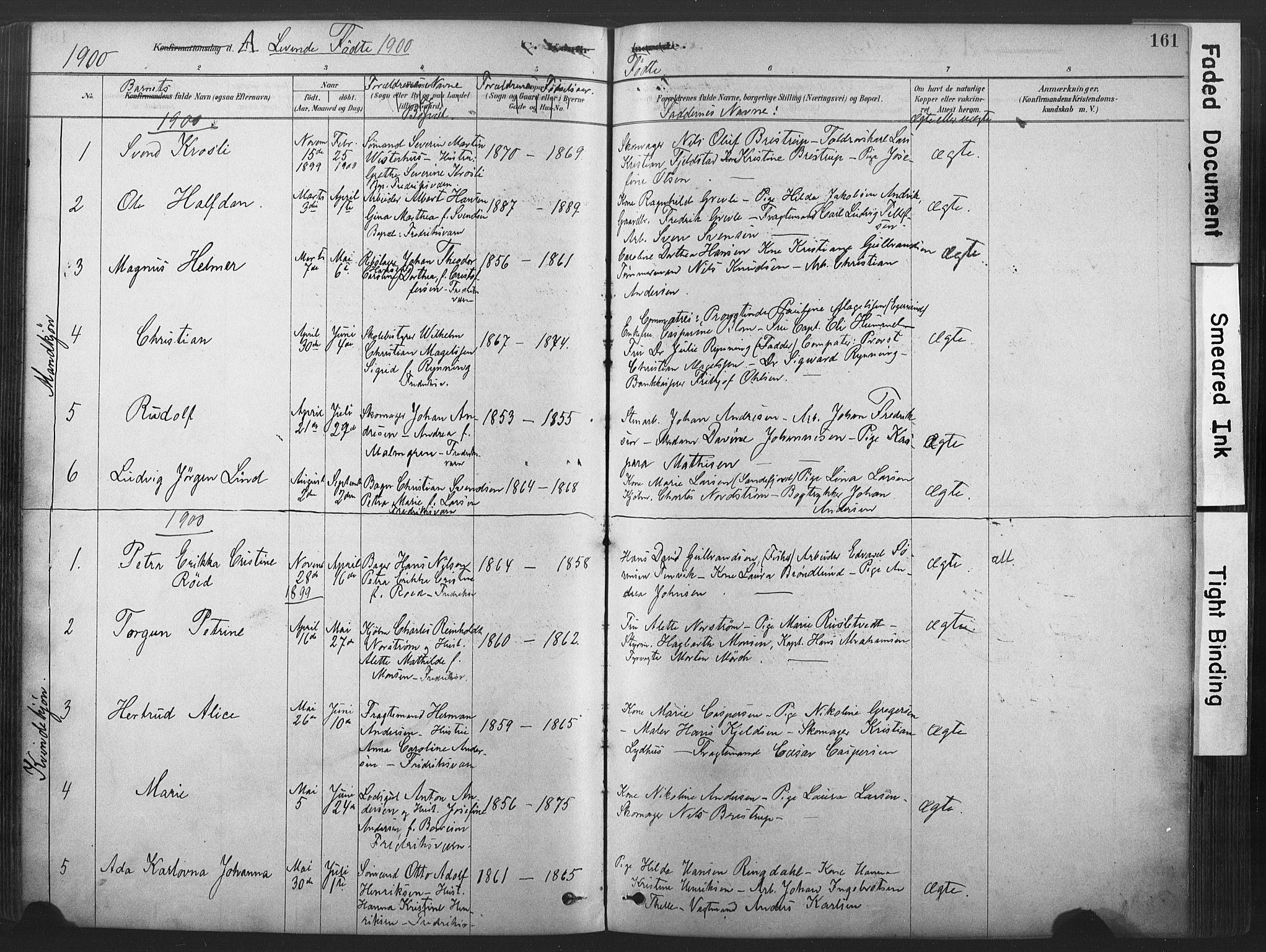 Stavern kirkebøker, SAKO/A-318/F/Fa/L0008: Parish register (official) no. 8, 1878-1905, p. 161