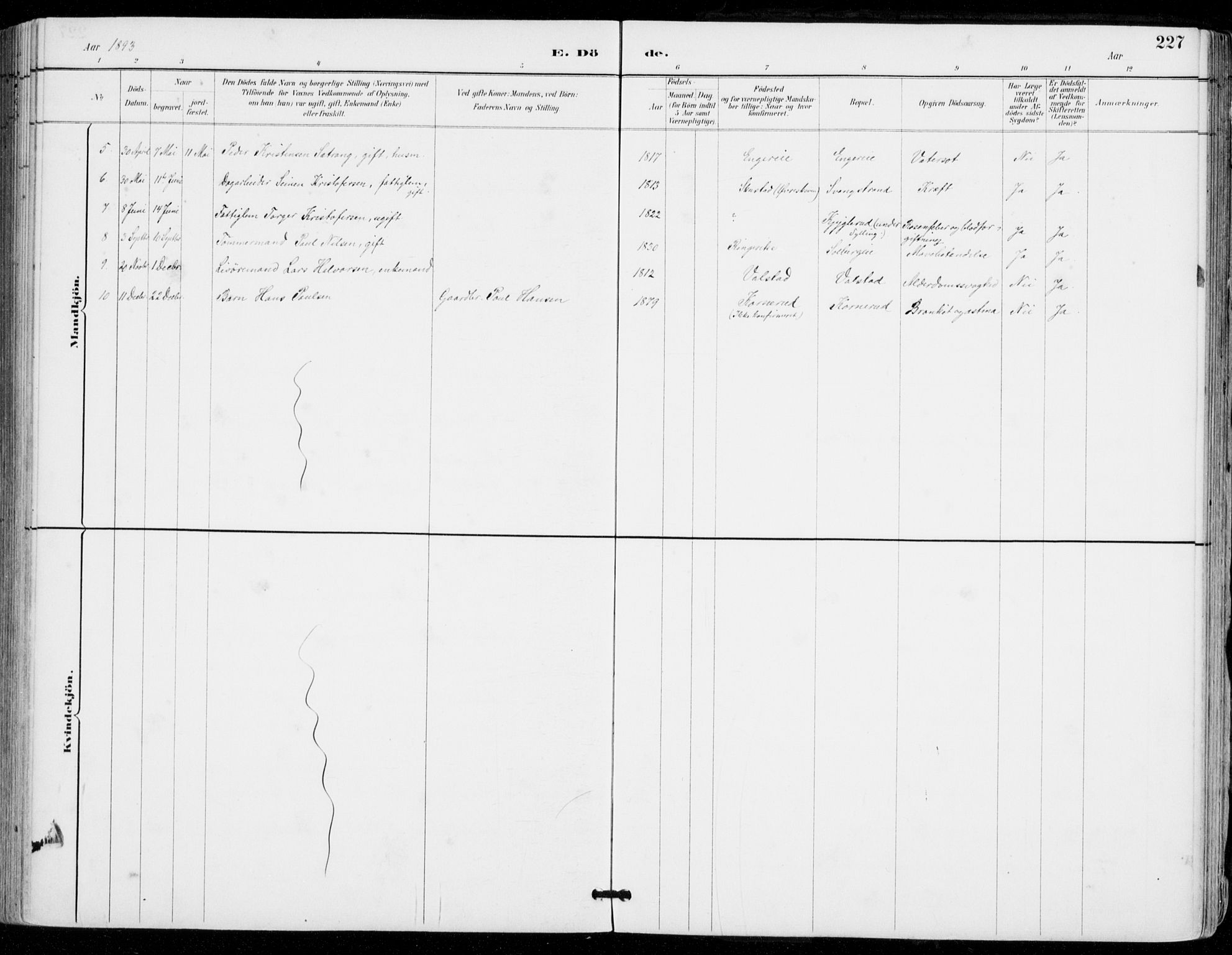 Sylling kirkebøker, AV/SAKO-A-247/F/Fa/L0001: Parish register (official) no. 1, 1883-1910, p. 227