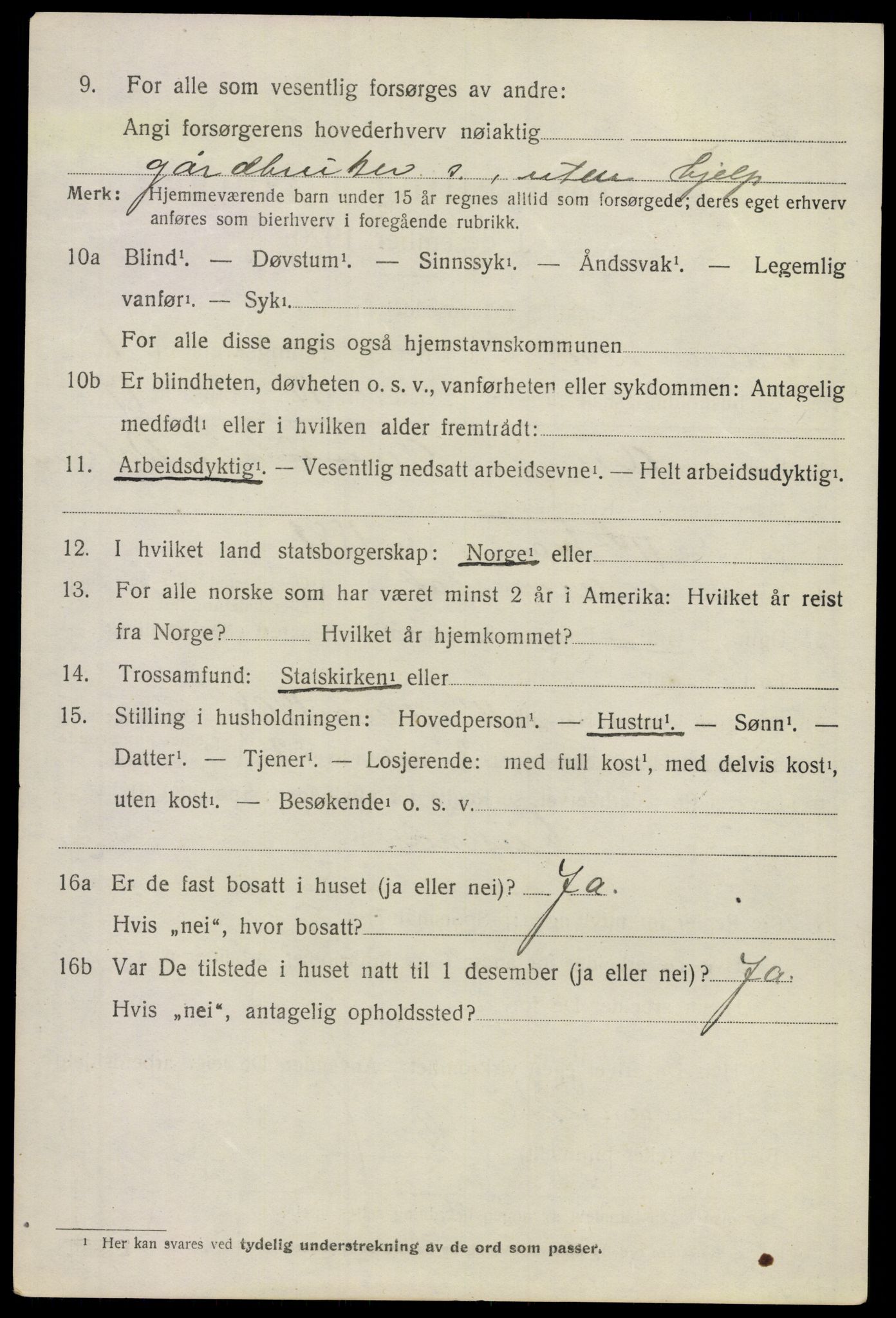 SAO, 1920 census for Nannestad, 1920, p. 1916