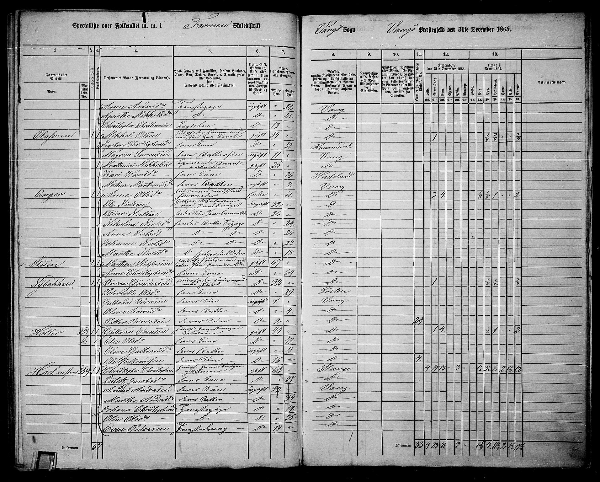 RA, 1865 census for Vang/Vang og Furnes, 1865, p. 321