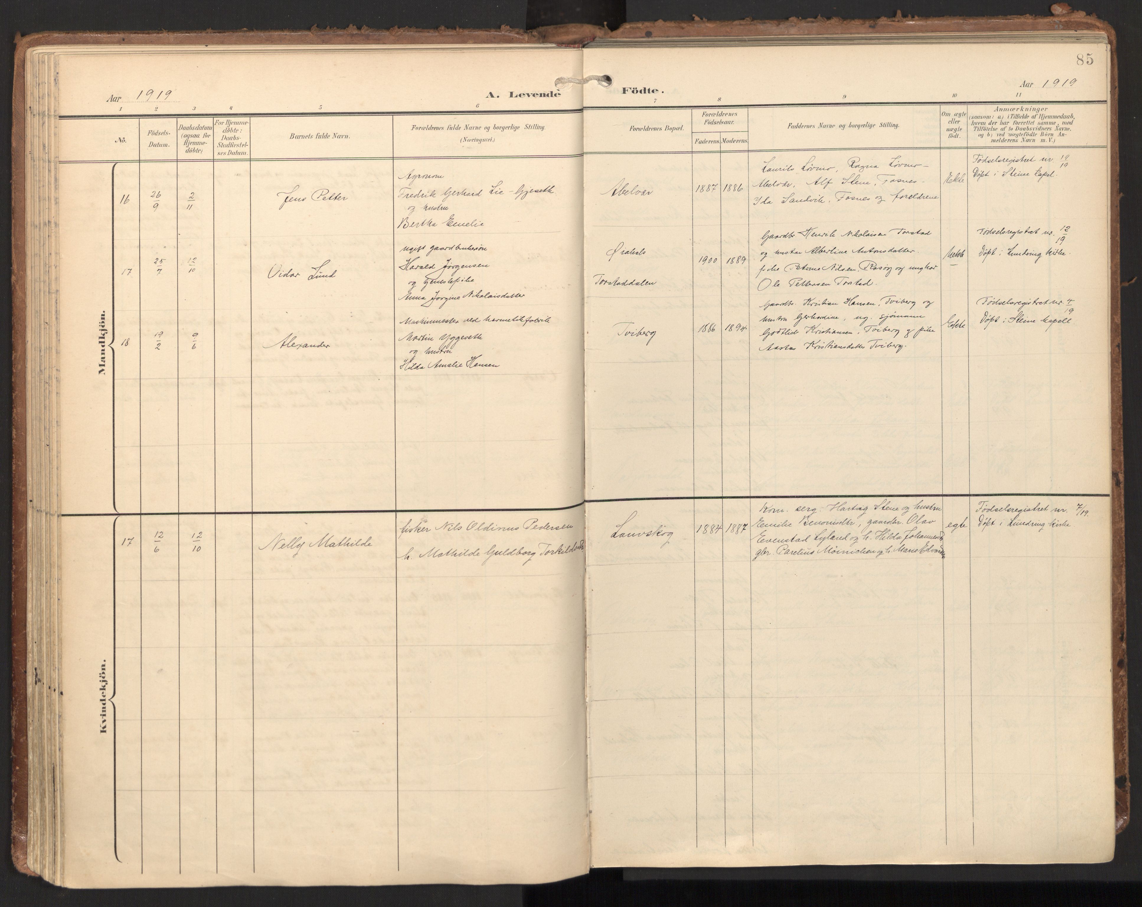 Ministerialprotokoller, klokkerbøker og fødselsregistre - Nord-Trøndelag, AV/SAT-A-1458/784/L0677: Parish register (official) no. 784A12, 1900-1920, p. 85