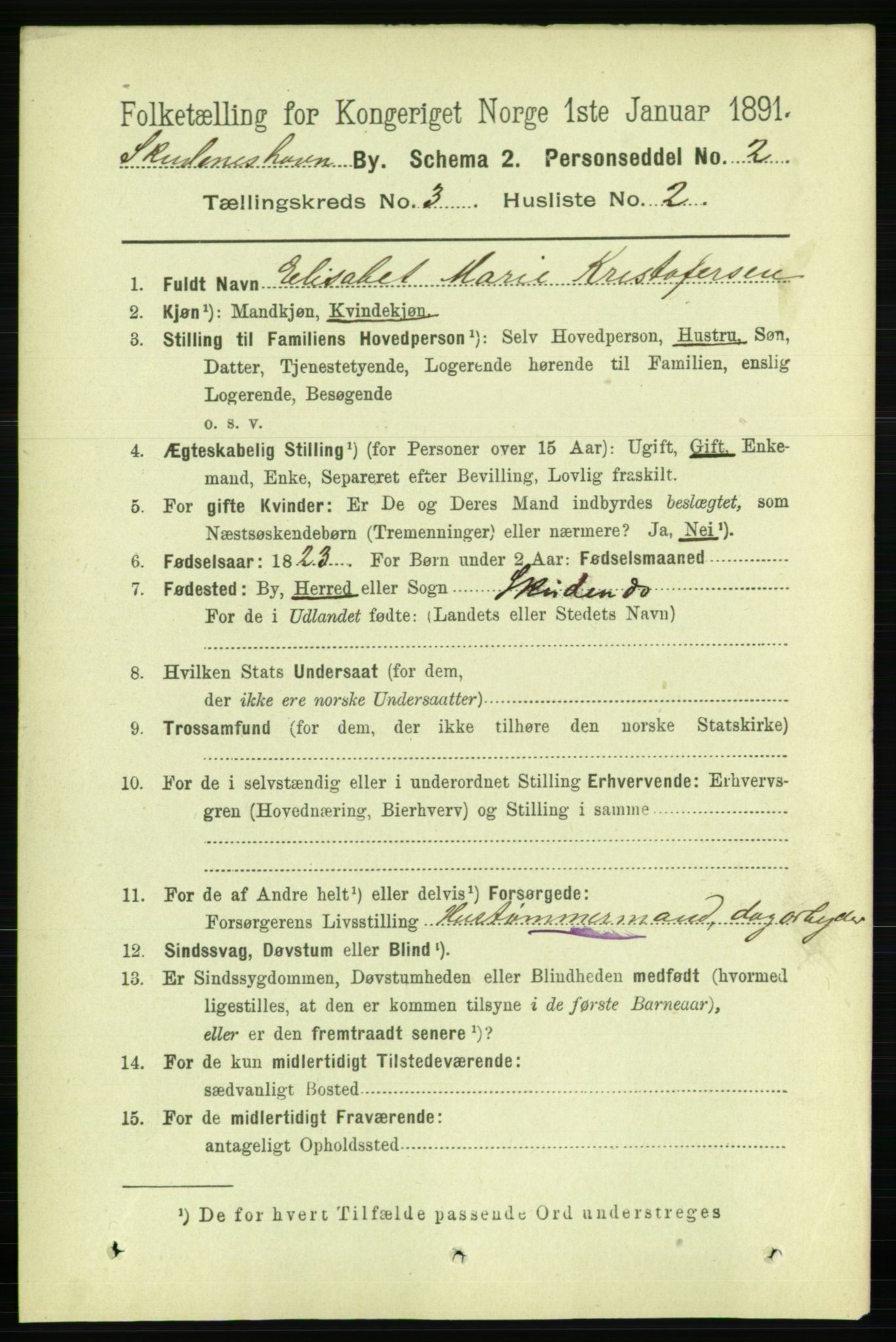 RA, 1891 census for 1104 Skudeneshavn, 1891, p. 969